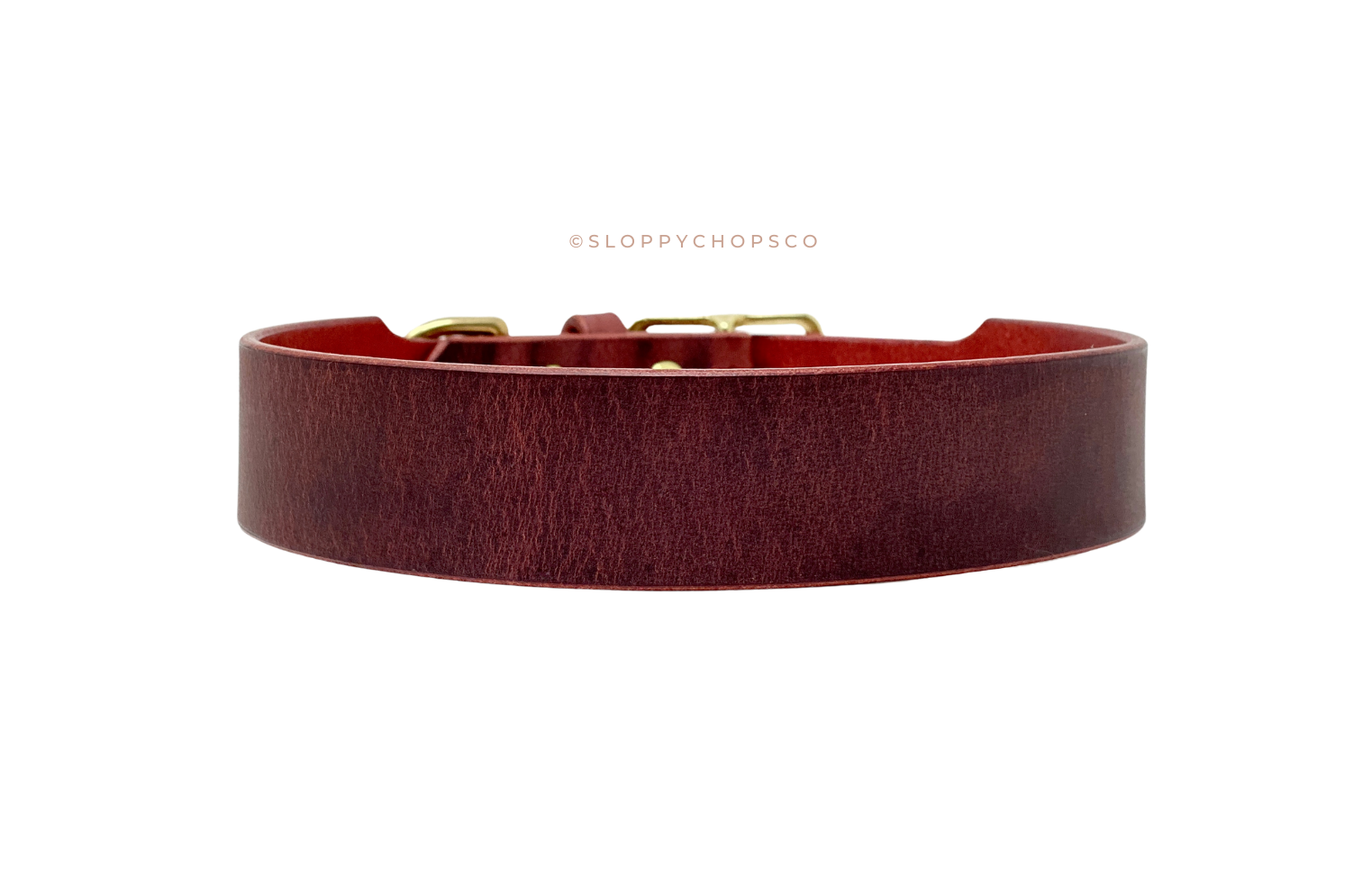 Classic Leather Buckle Collar