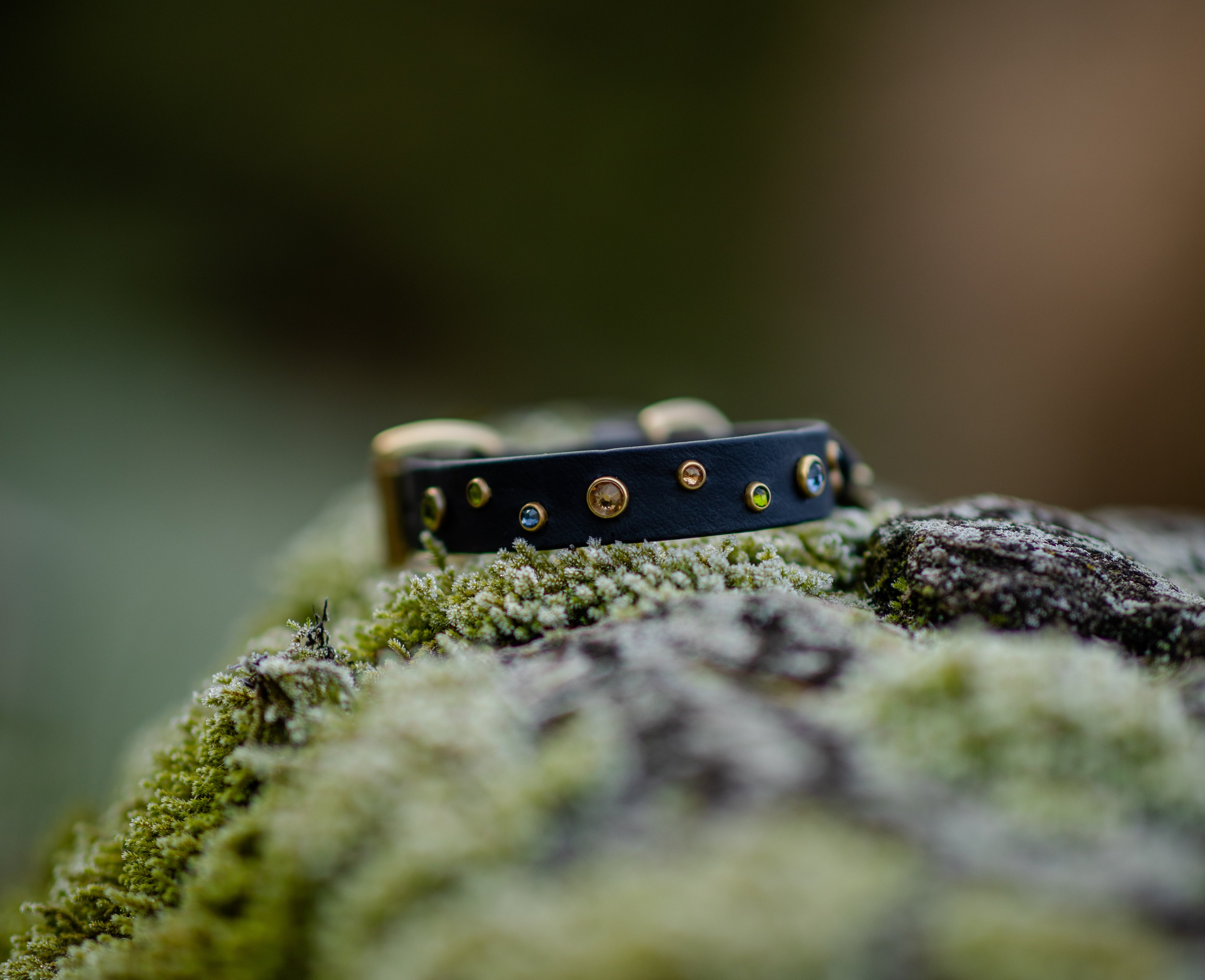 The 'Bijou' Collar