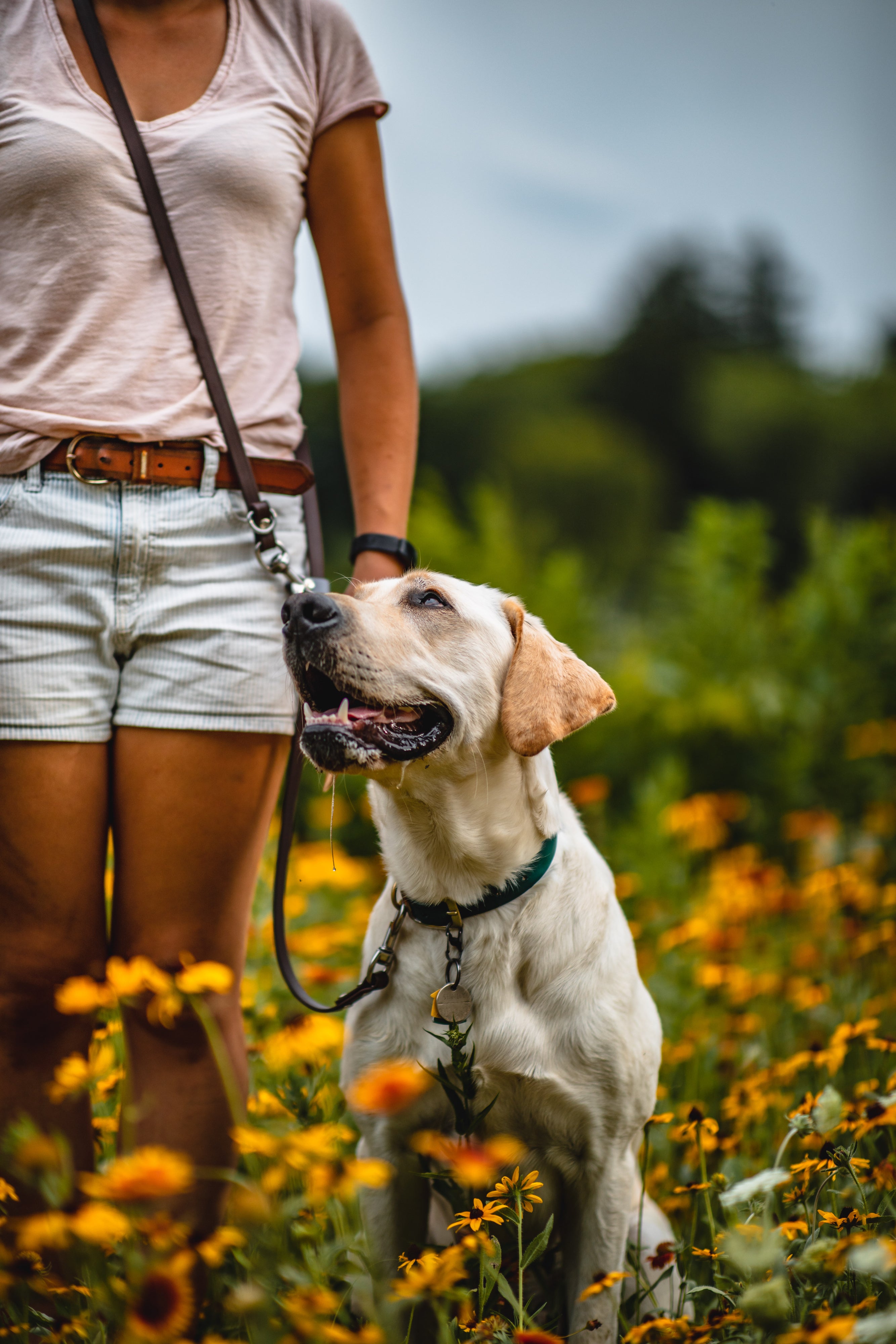 SimpleLead Multifunctional Leash