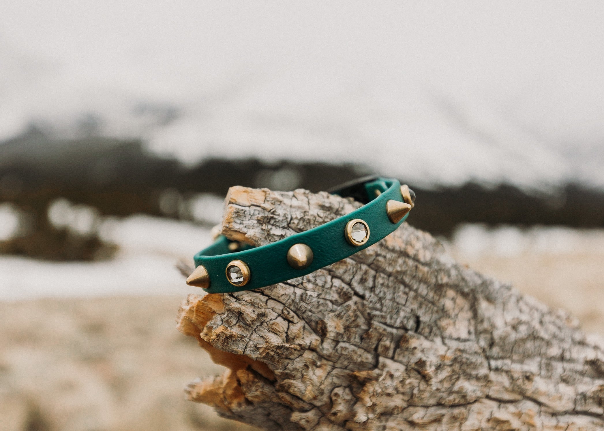 The 'Roses & Thorns' Katmai Collar