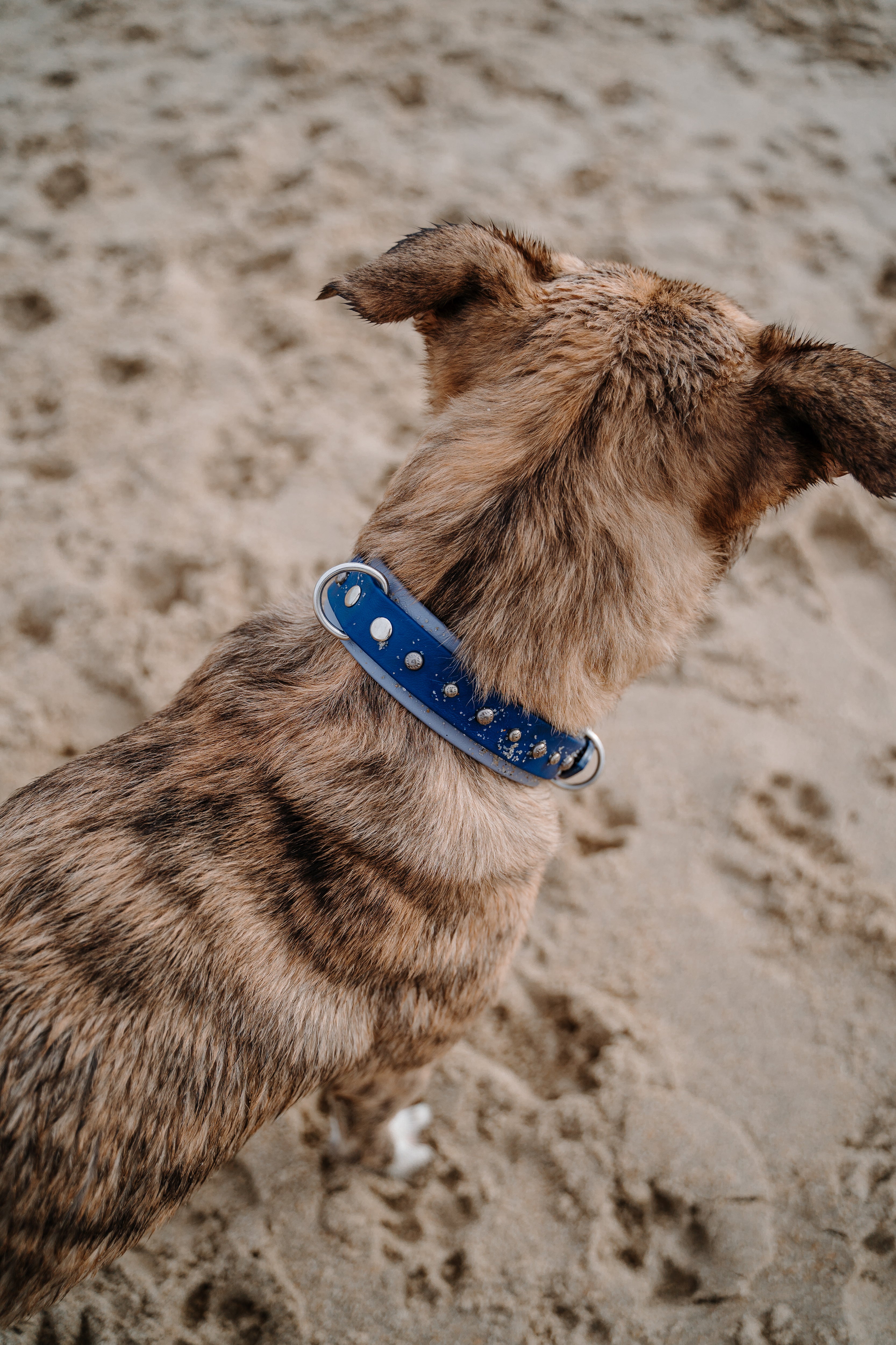 The 'Taos' Collar