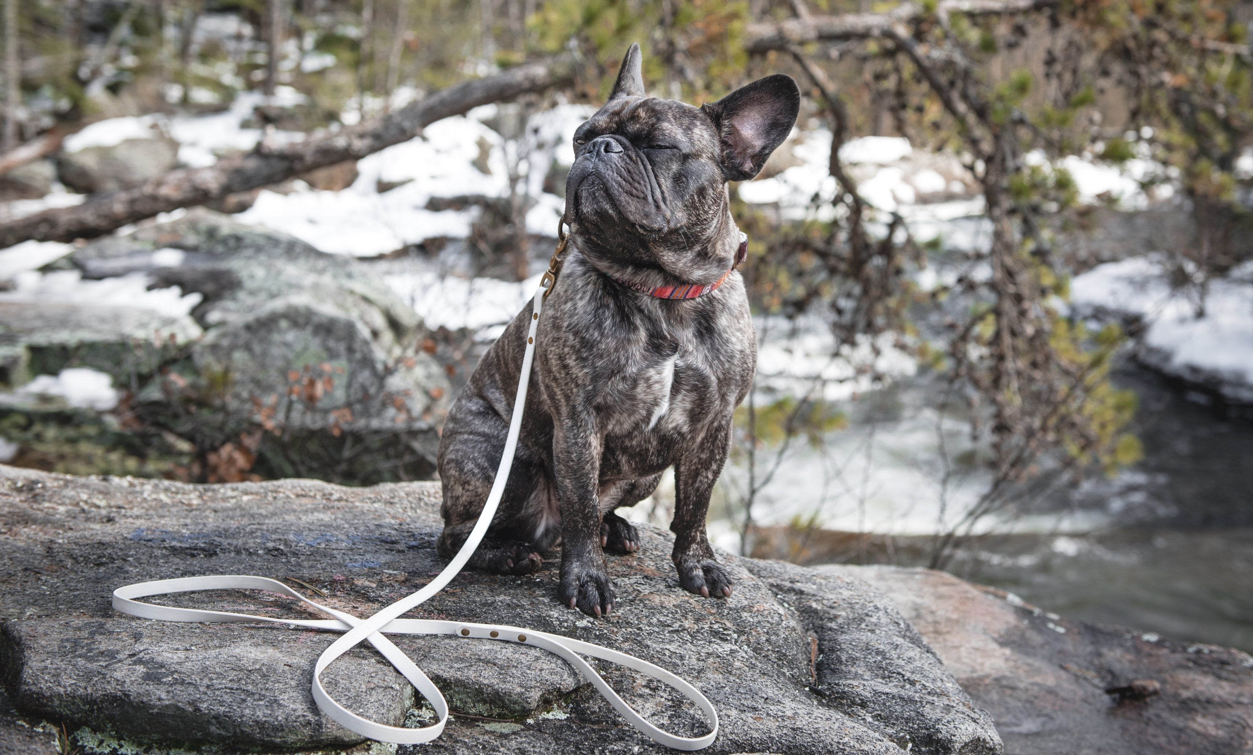 Katmai Leash