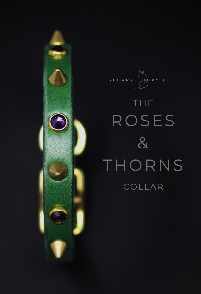 The 'Mini Roses & Thorns' Leather Collar