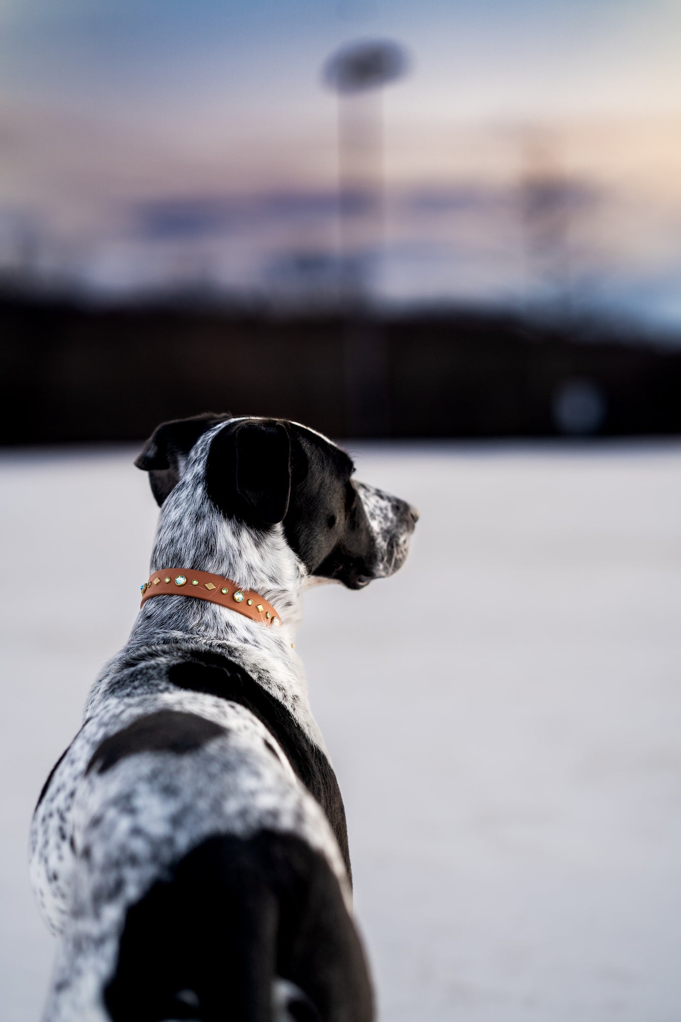 The 'Reina' Collar