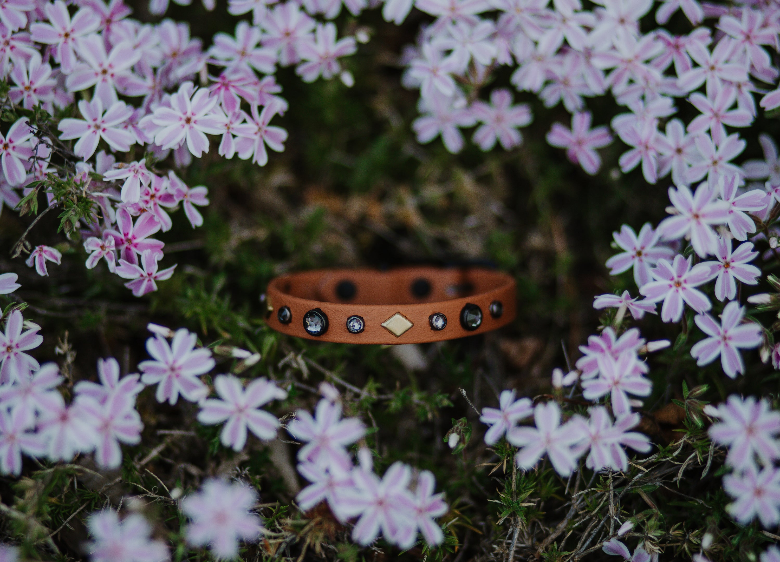 The 'Reina' Katmai Collar