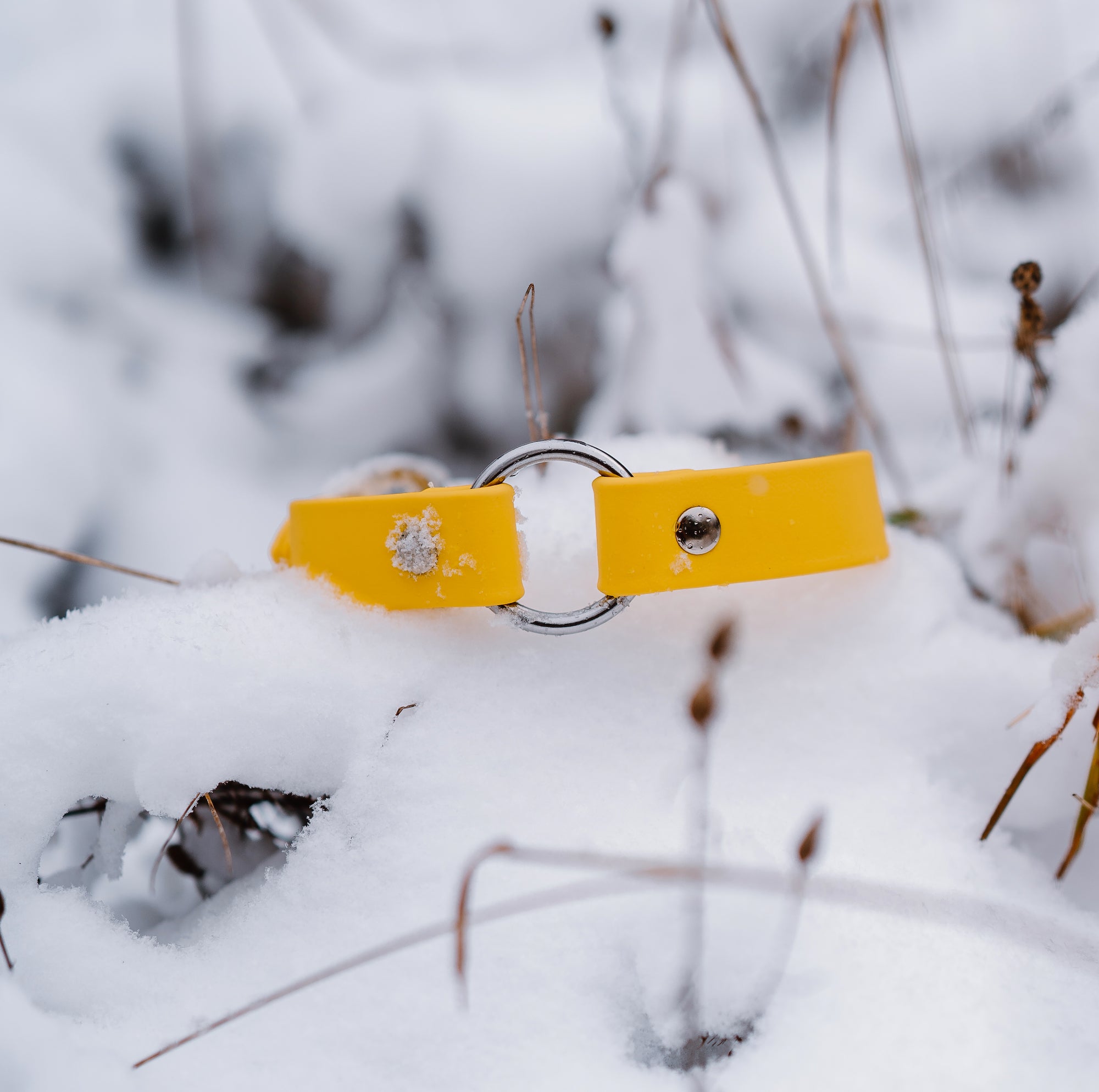 Denali Center Ring Collar