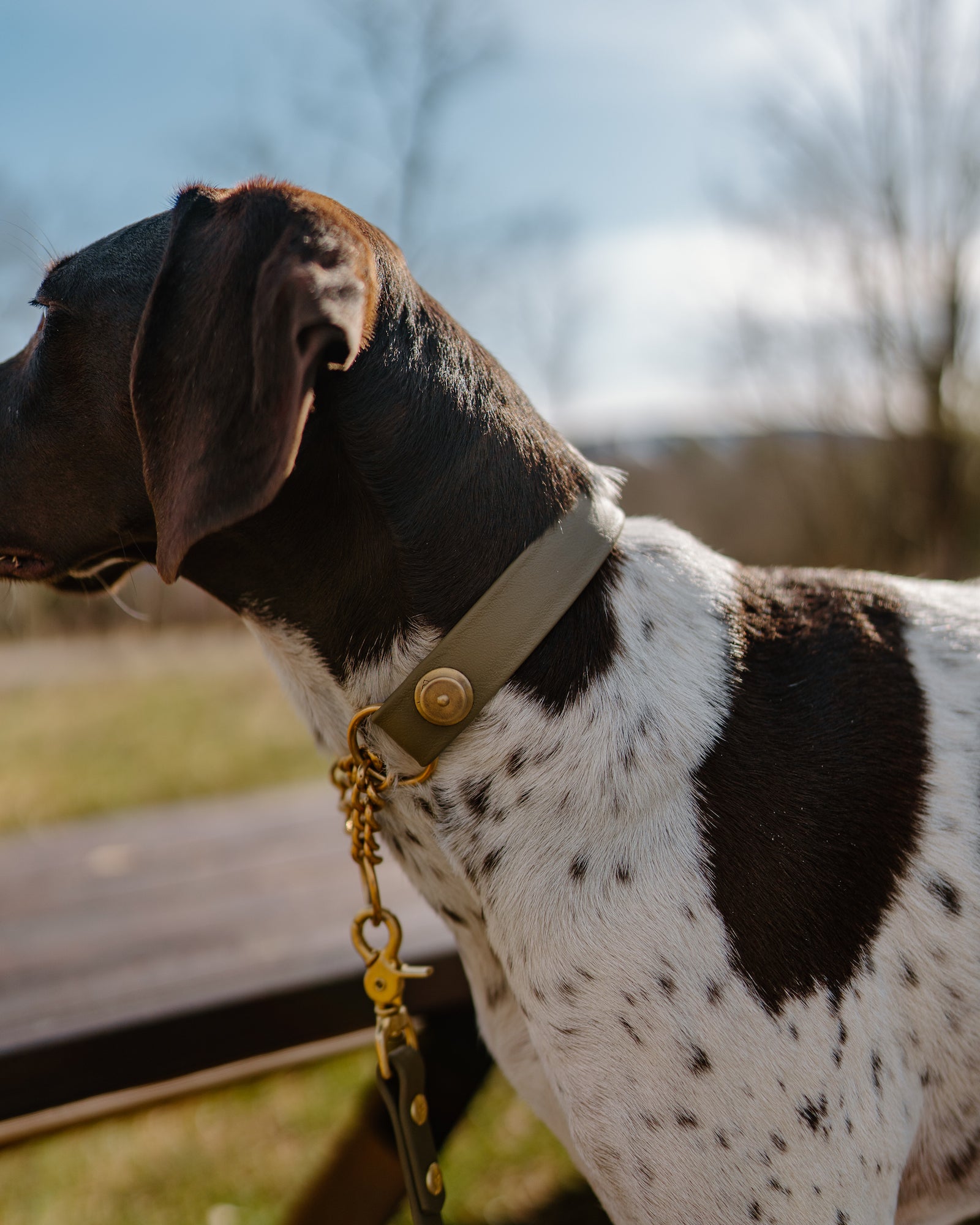 Denali Martingale Collar