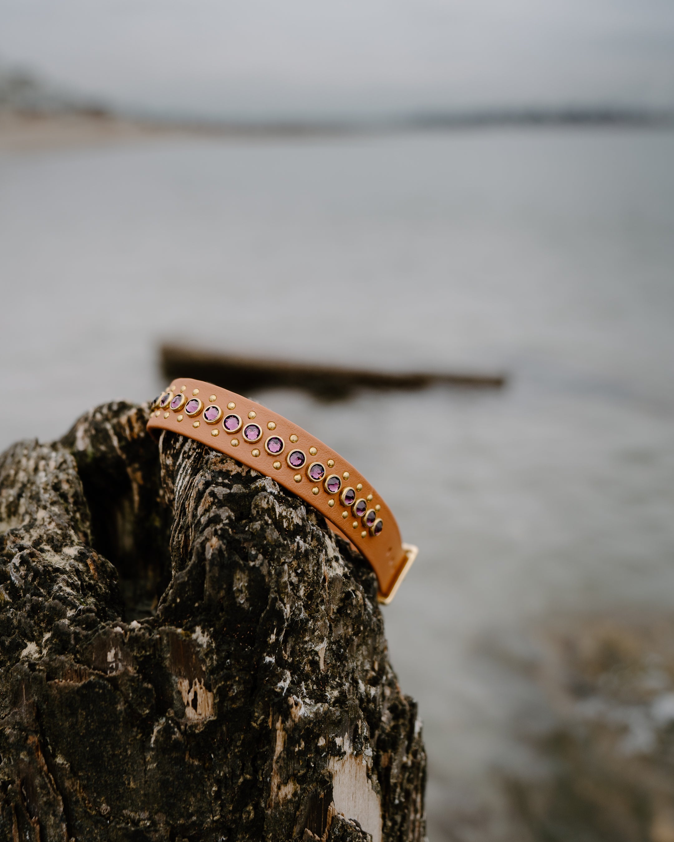 The 'Avalon'Collar