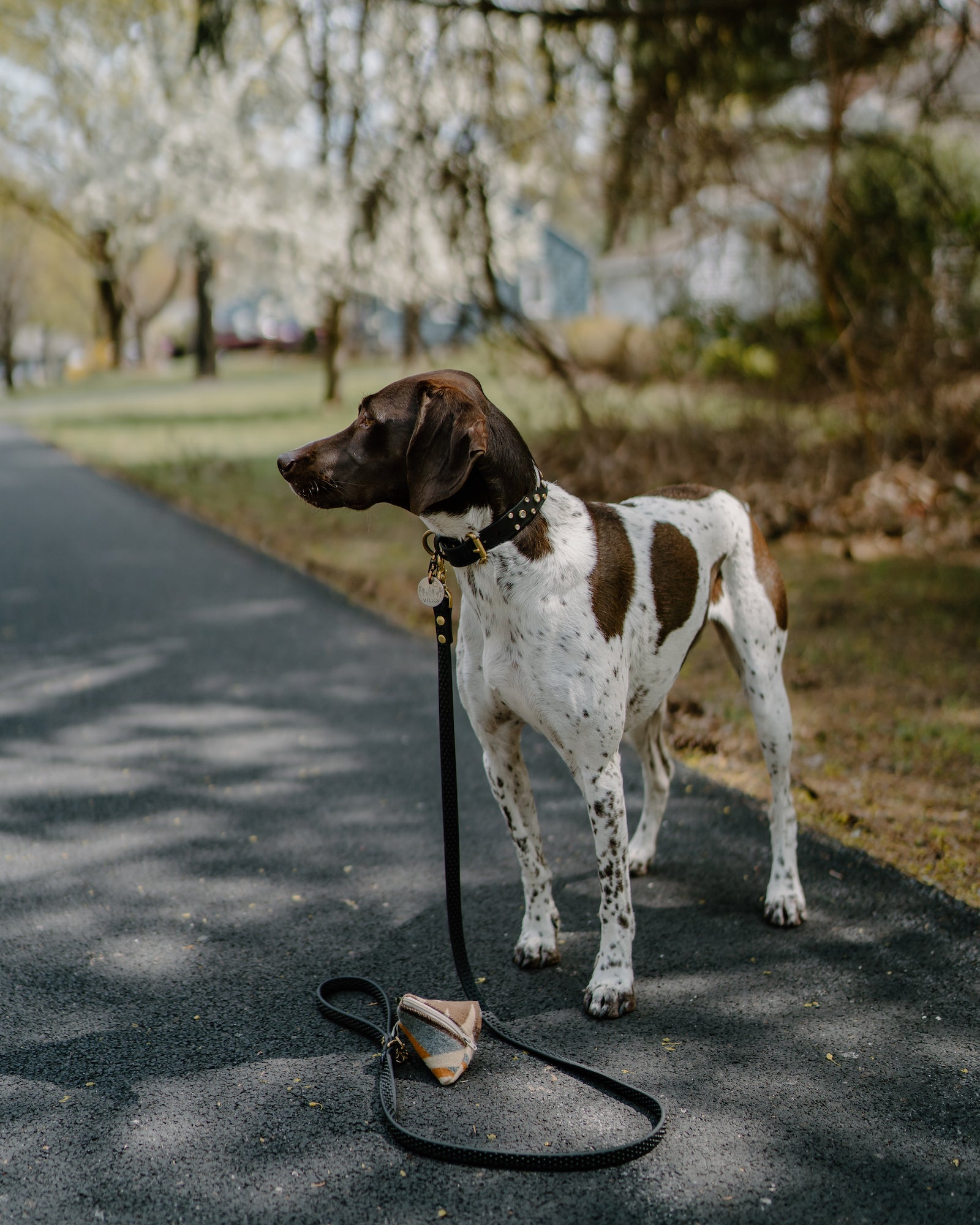 Super Grip Leash