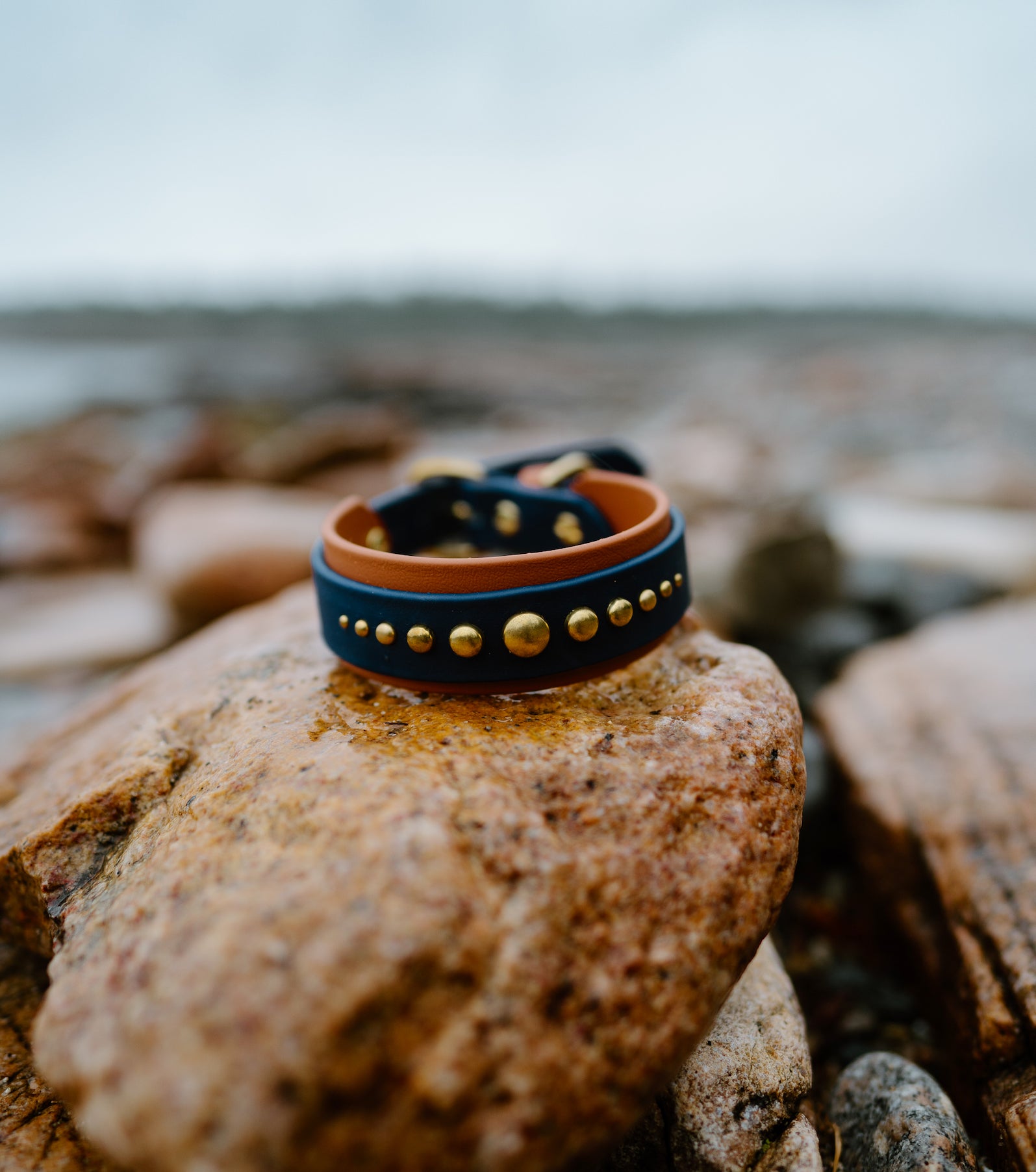 The 'Lunar' Collar