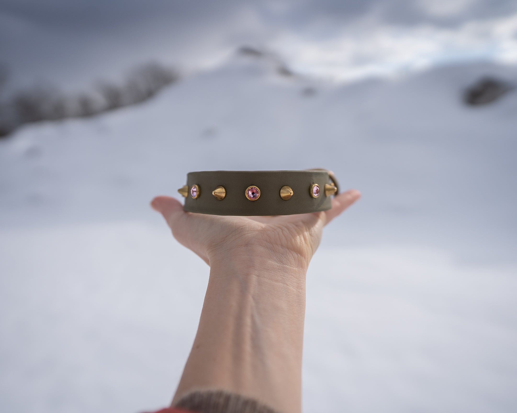The 'Roses & Thorns' Collar