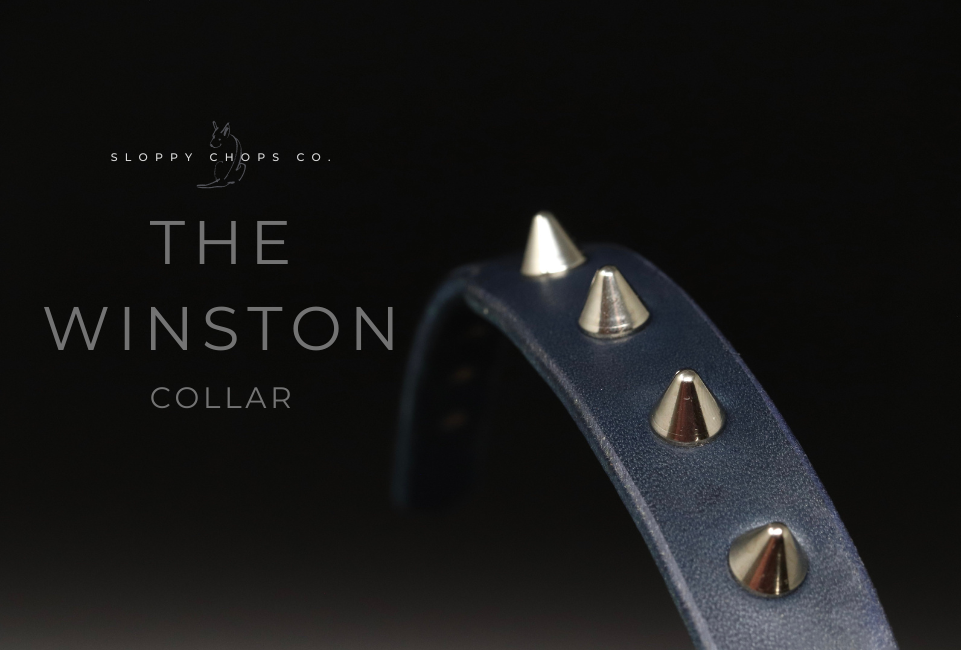 The 'Mini Winston' Leather Collar