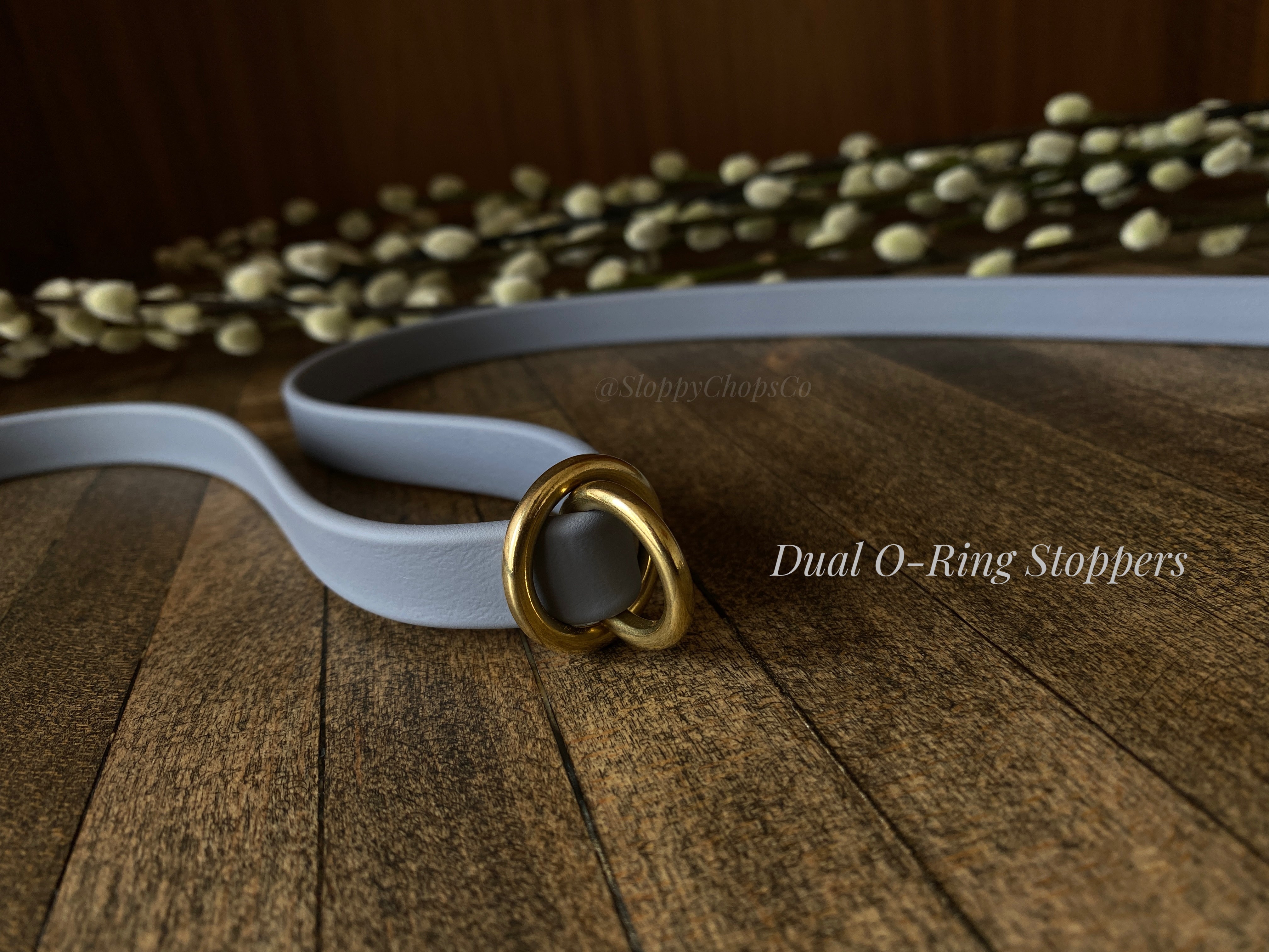 Rolled BioThane Leash
