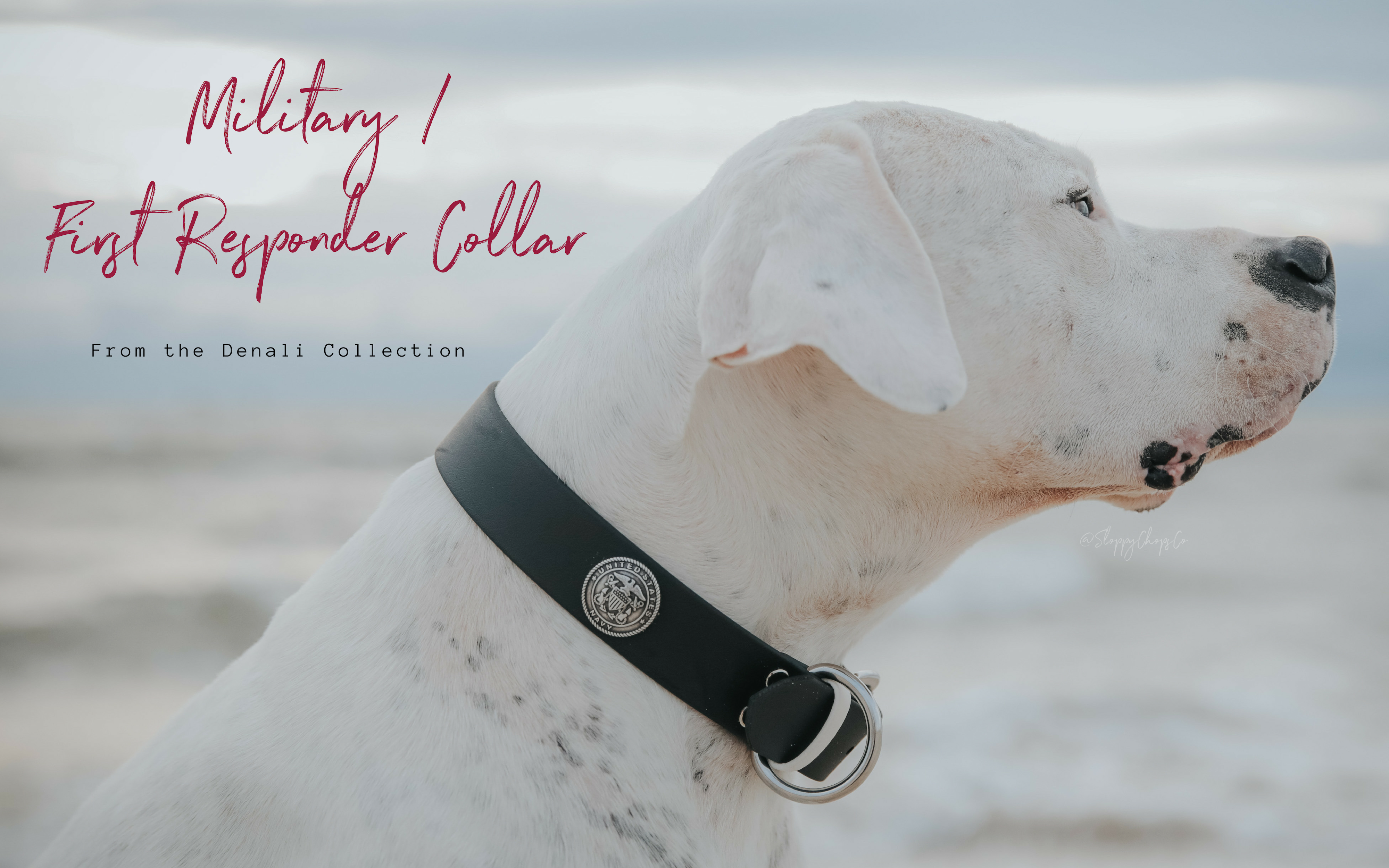 Military / First Responder Collar
