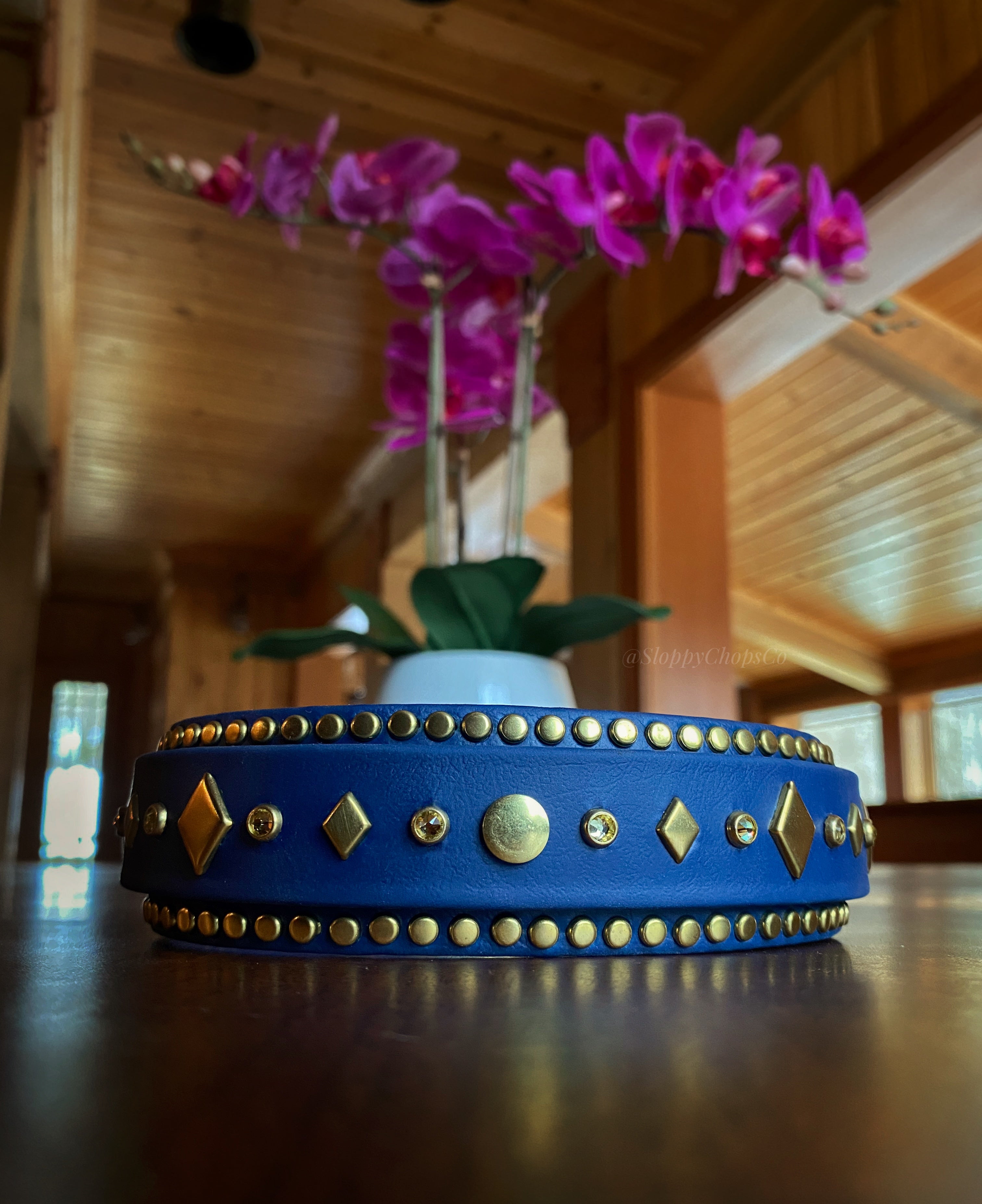 The 'Mantis' Collar