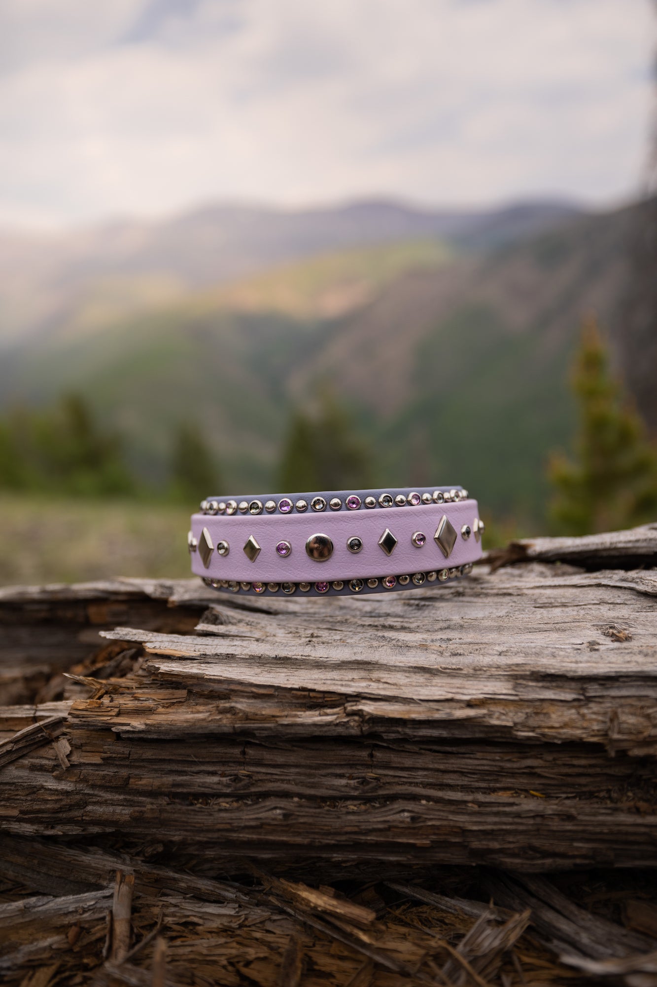 The 'Mantis' Collar