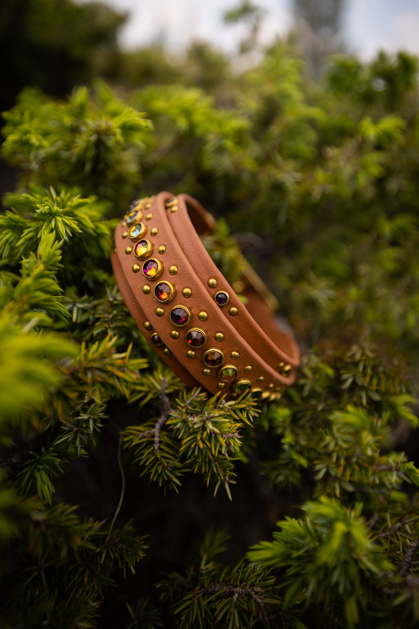 The 'Avalon'Collar