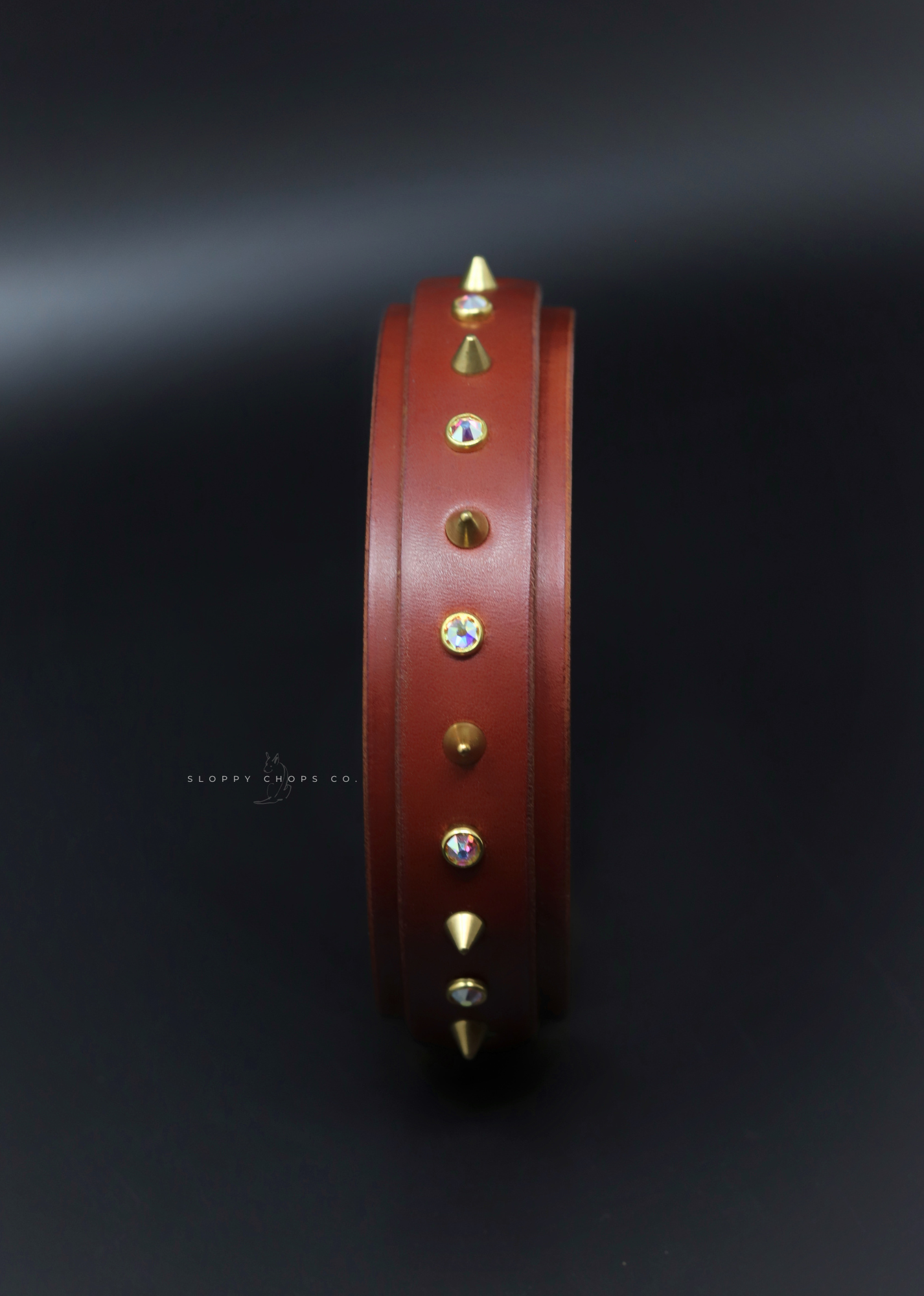 The 'Roses & Thorns' Leather Collar (1