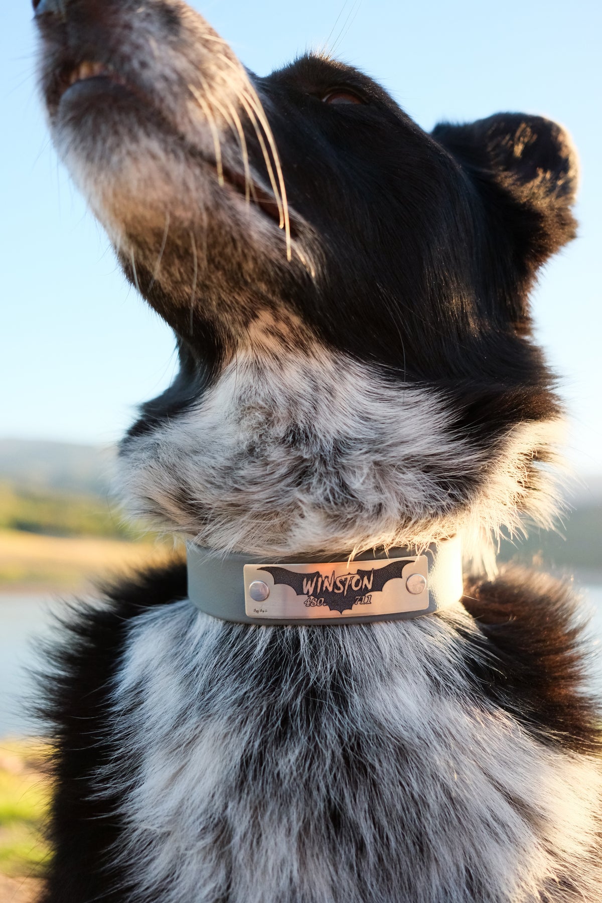 Bat Designer Rivet-On Tag