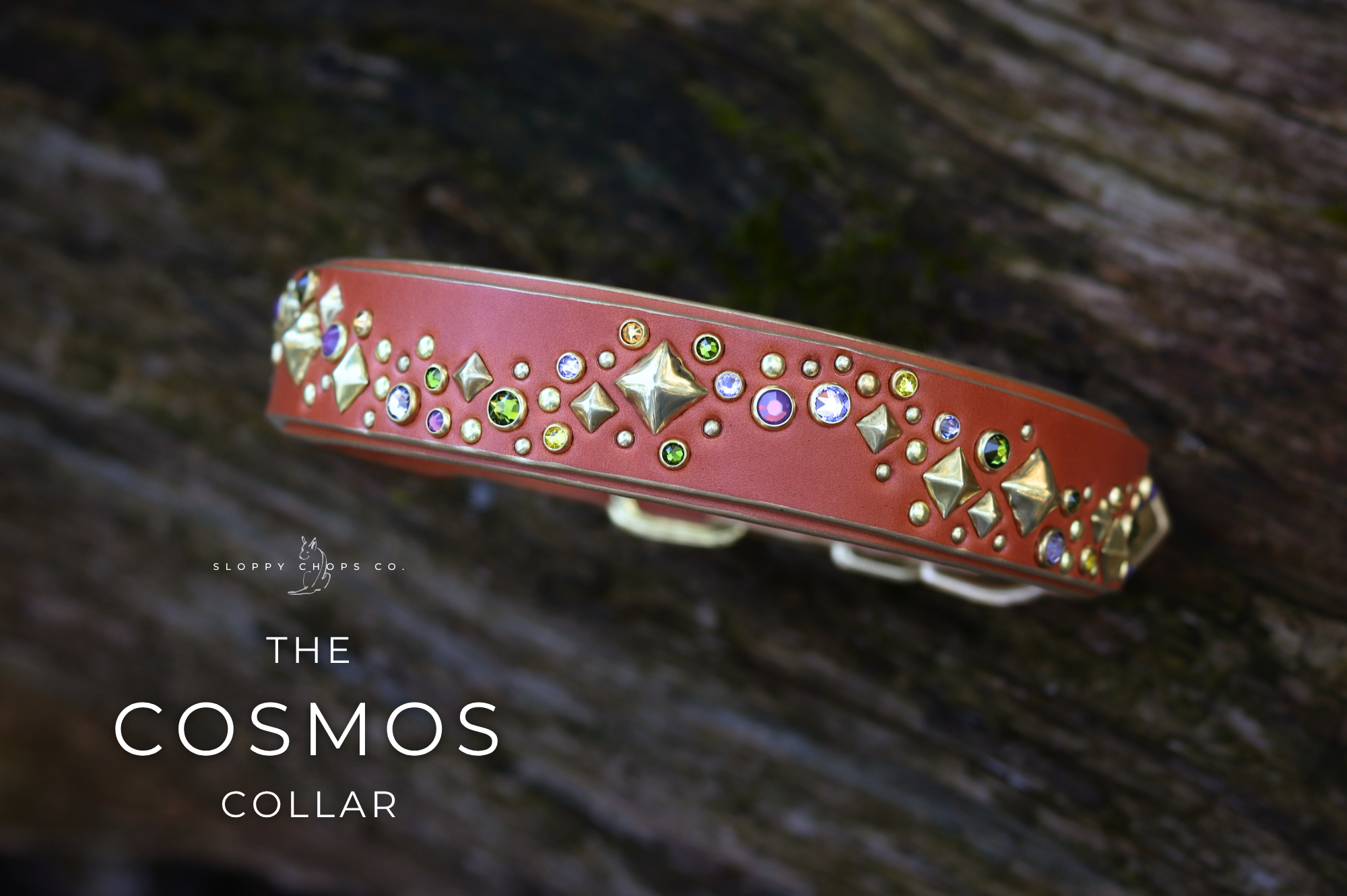 The 'Cosmos' Leather Collar (1.25