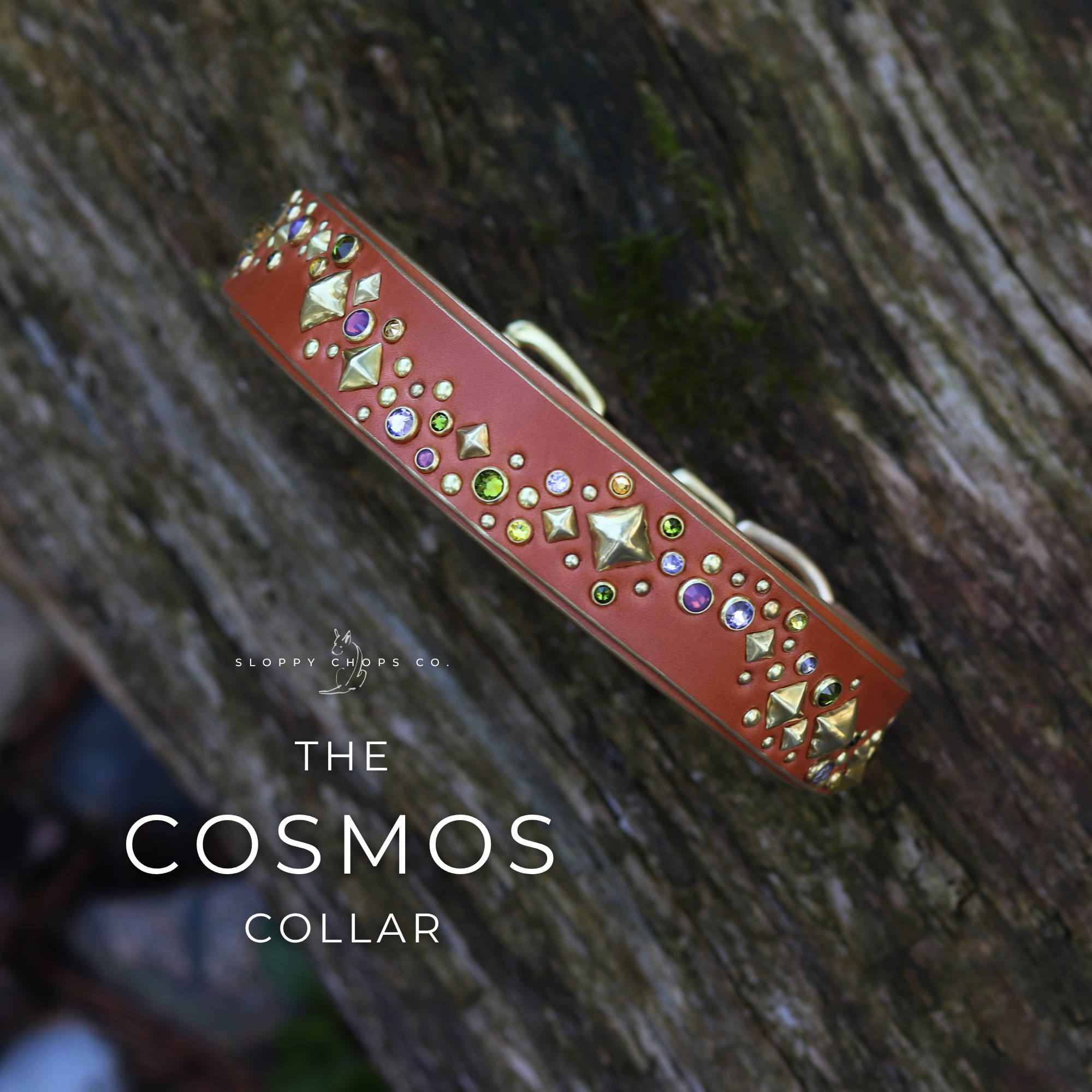 The 'Cosmos' Leather Collar (1.25