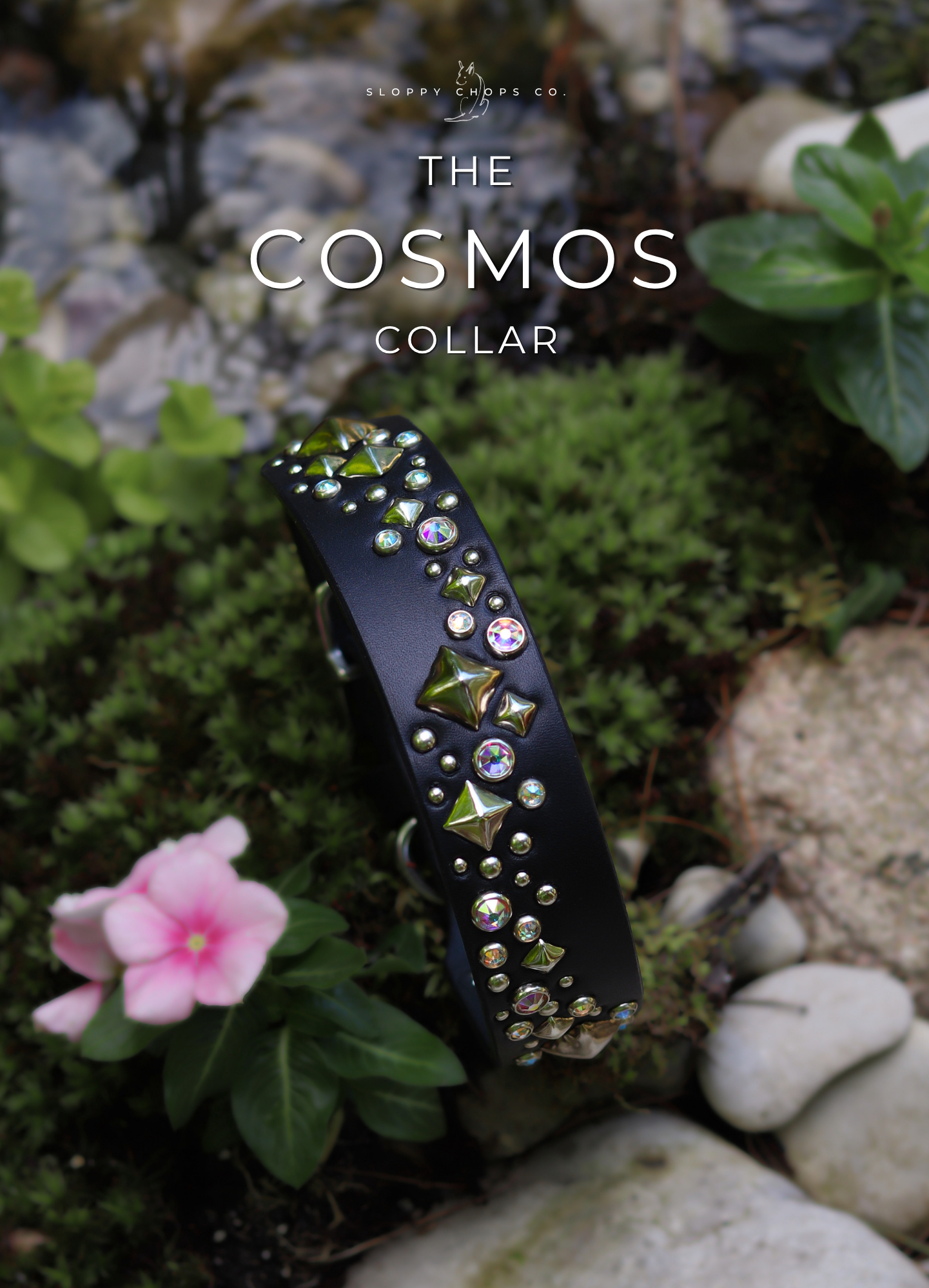 The 'Cosmos' Leather Collar (1.25