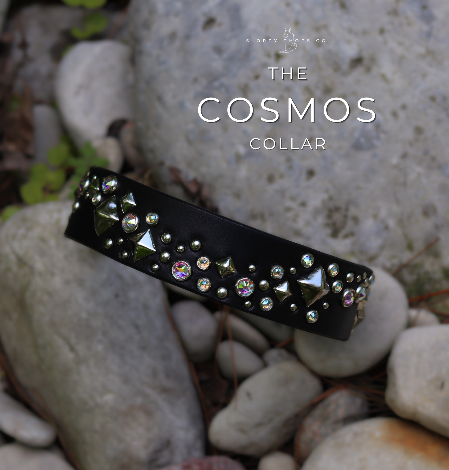 The 'Cosmos' Leather Collar (1.25