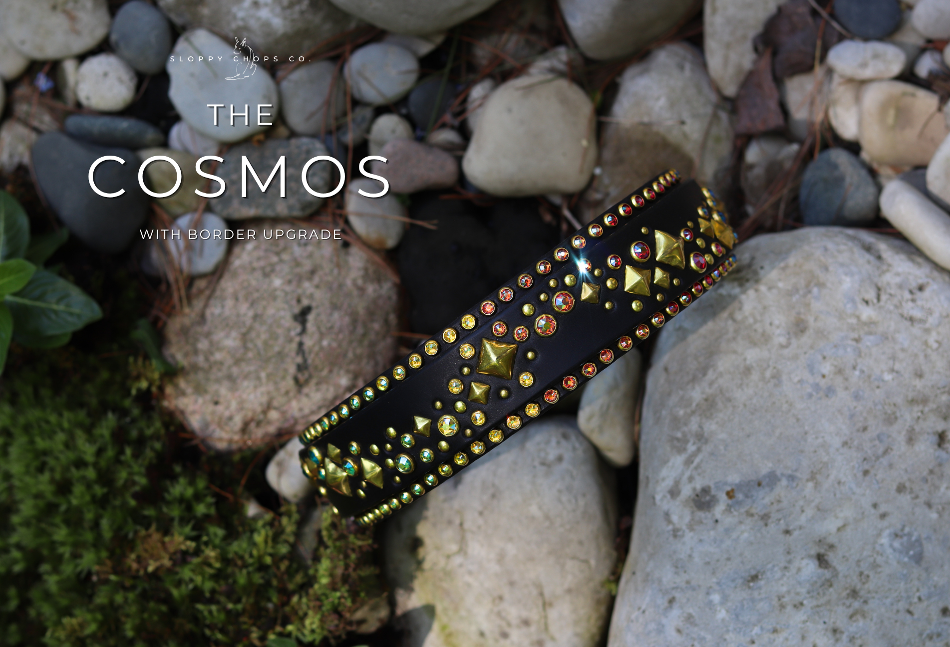 The 'Cosmos' Leather Collar (1.25