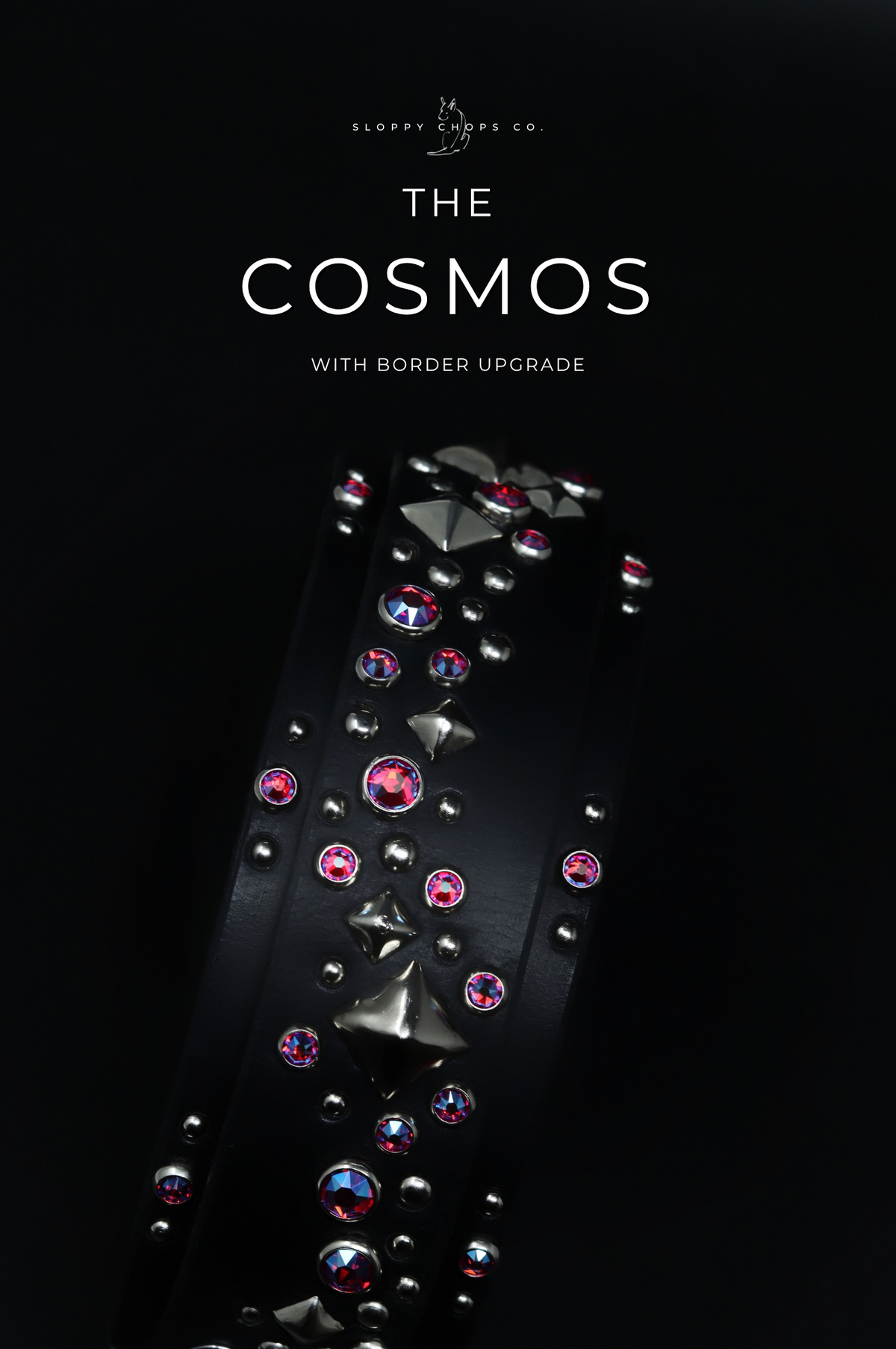 The 'Cosmos' Leather Collar (1.25