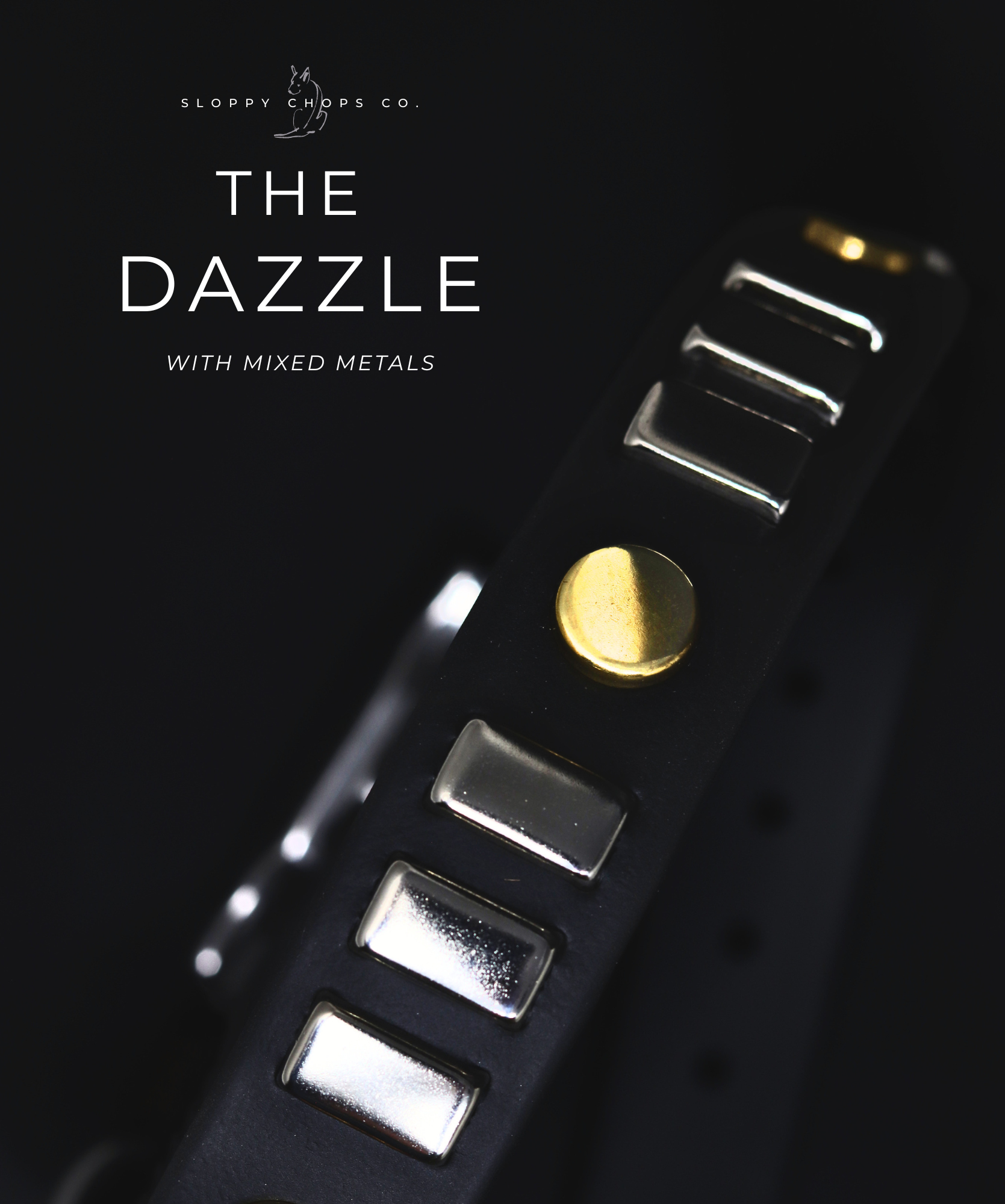 The 'Dazzle' BioThane Collar