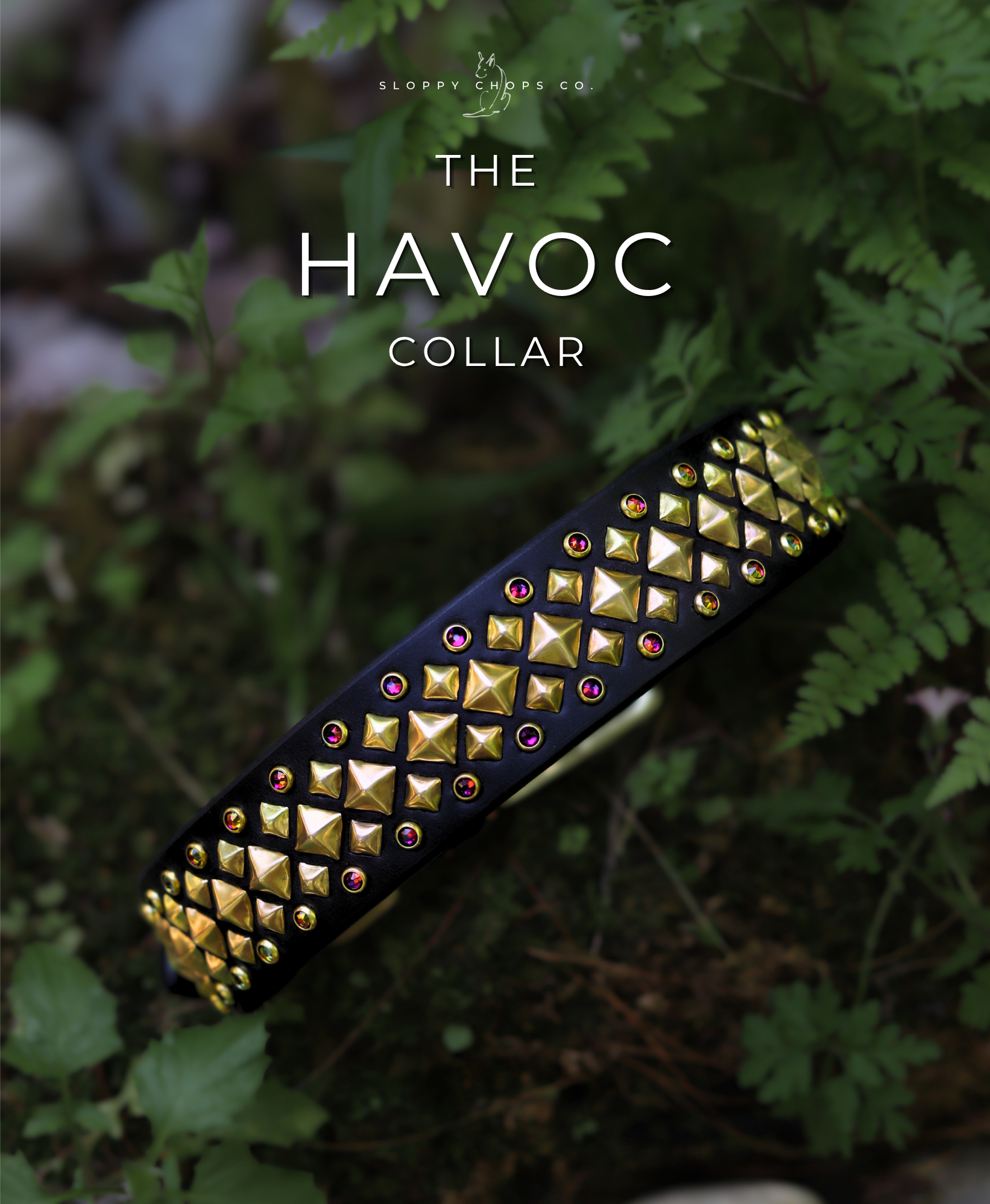 The 'Havoc' Leather Collar (1.5