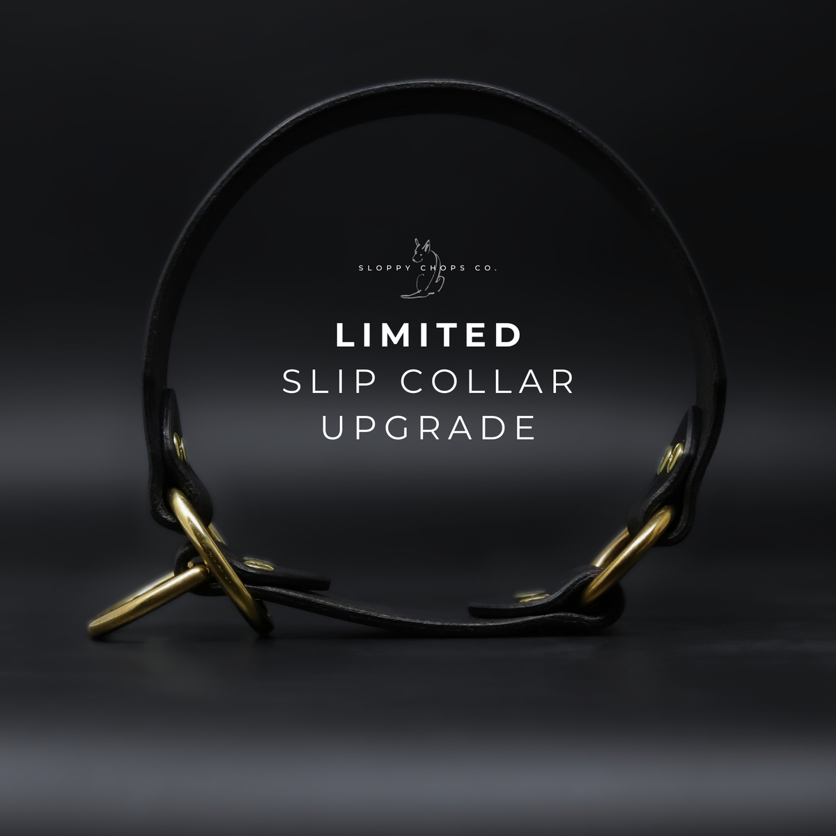 Slip Collar Upgrade (Leather)