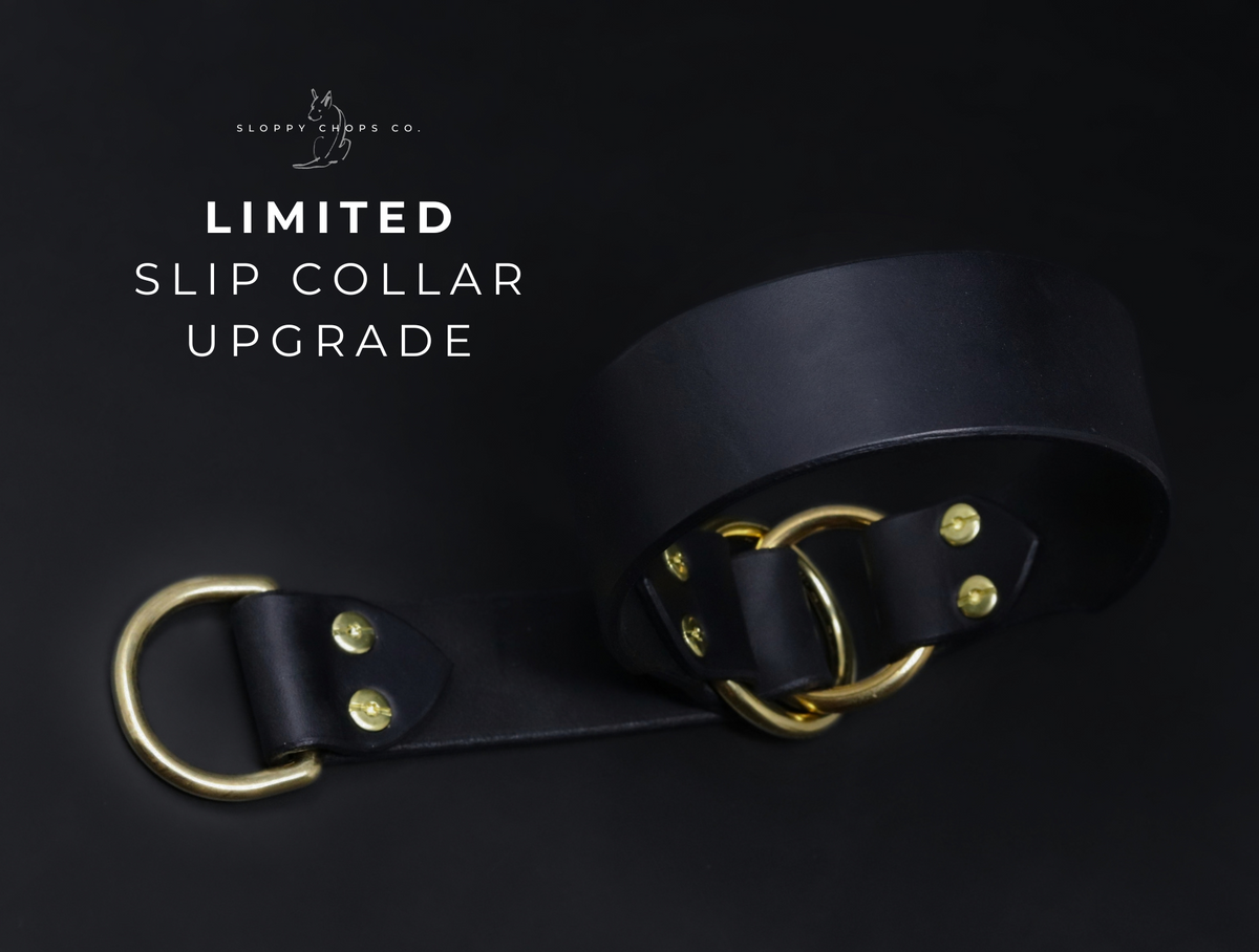 Slip Collar Upgrade (Leather)
