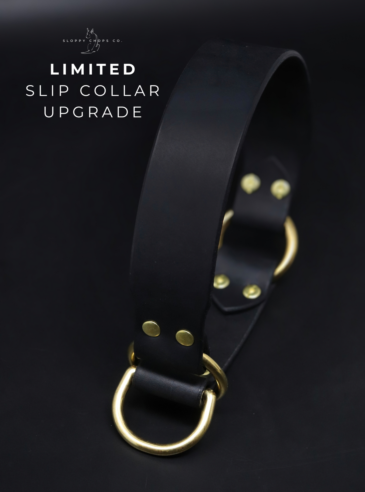 Slip Collar Upgrade (Leather)