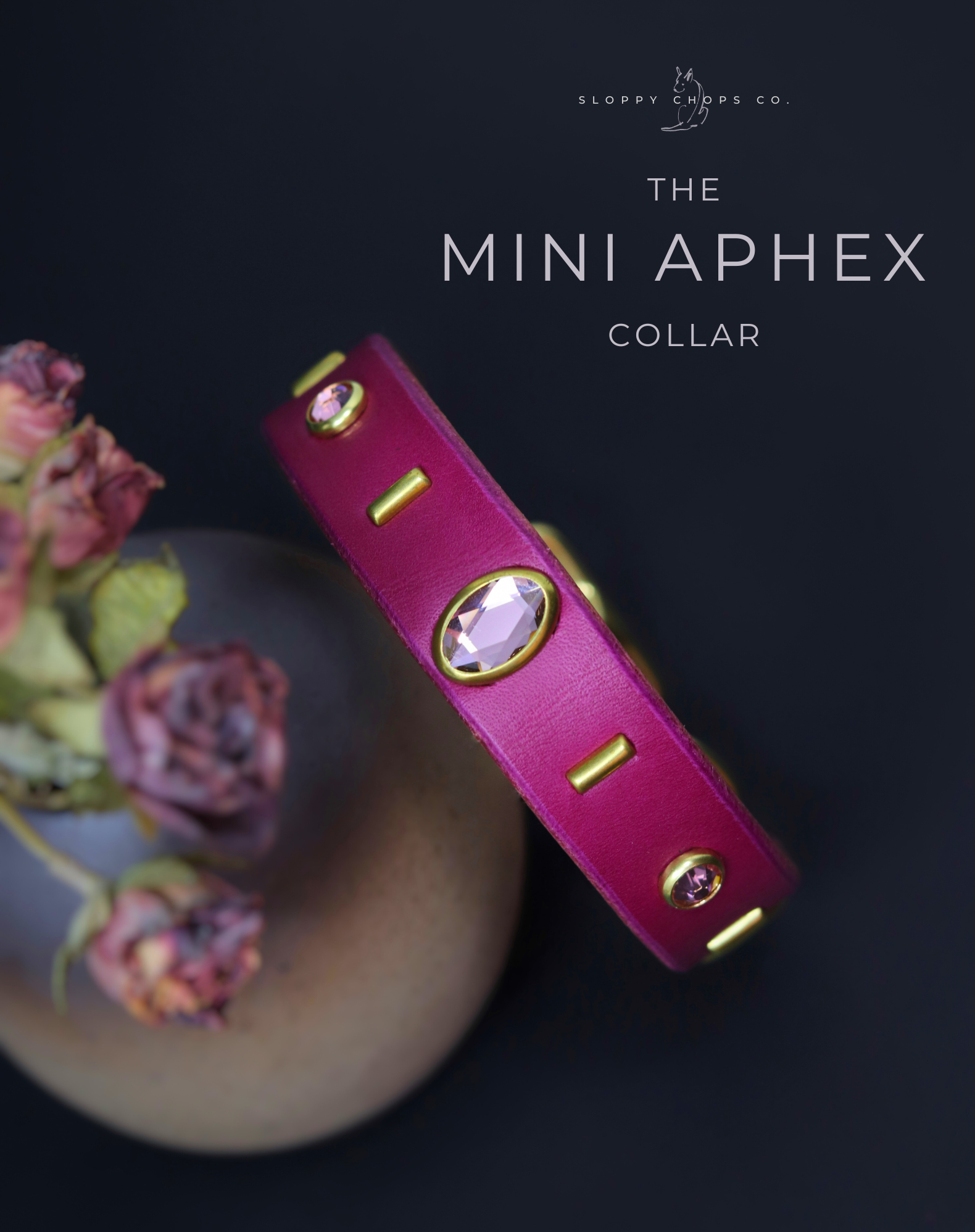 The 'Mini Aphex' Leather Collar (3/4