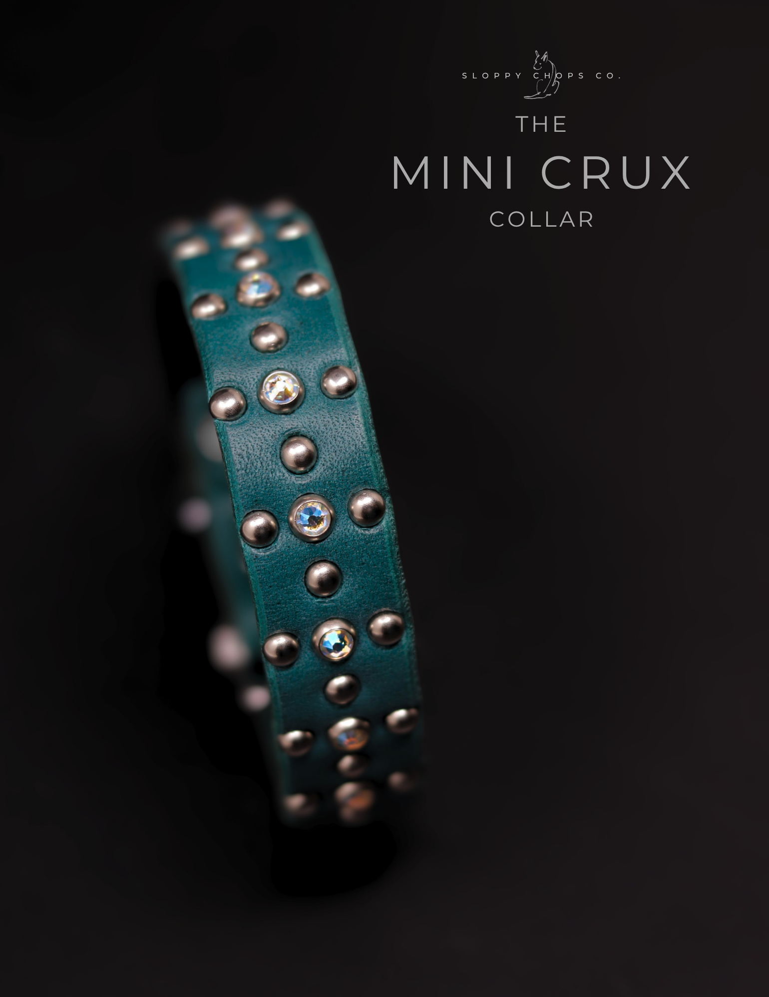 The 'Mini Crux' Leather Collar (3/4