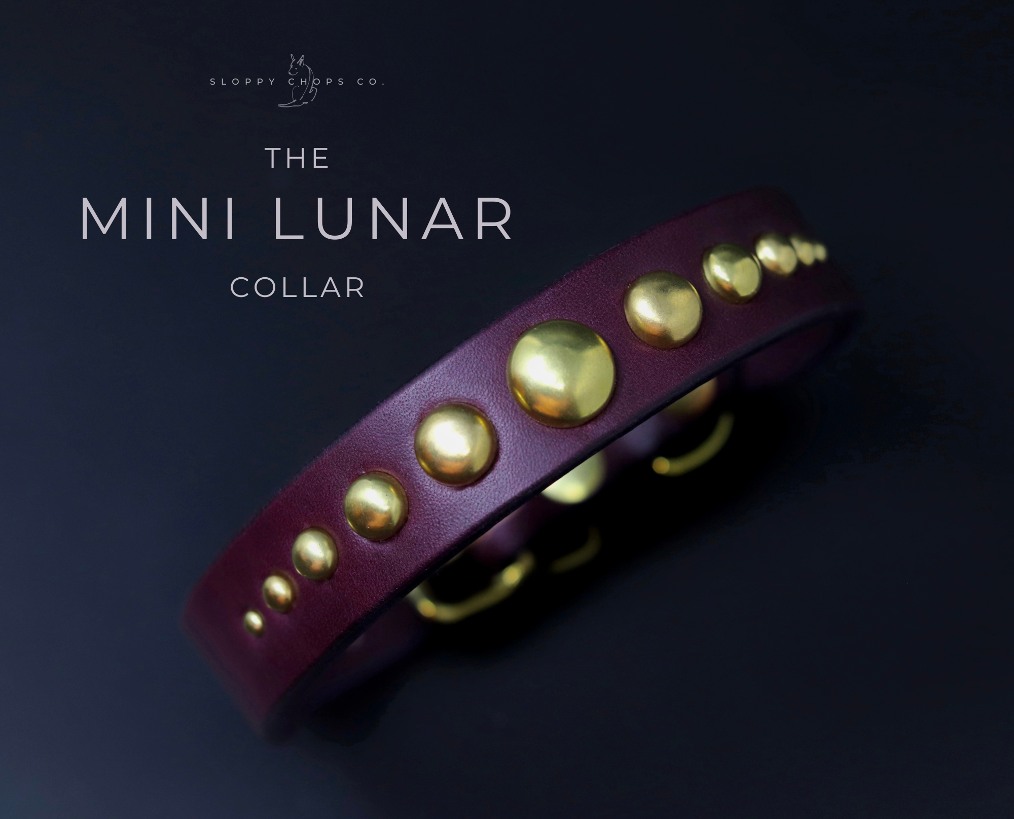 The 'Mini Lunar' Leather Collar (3/4