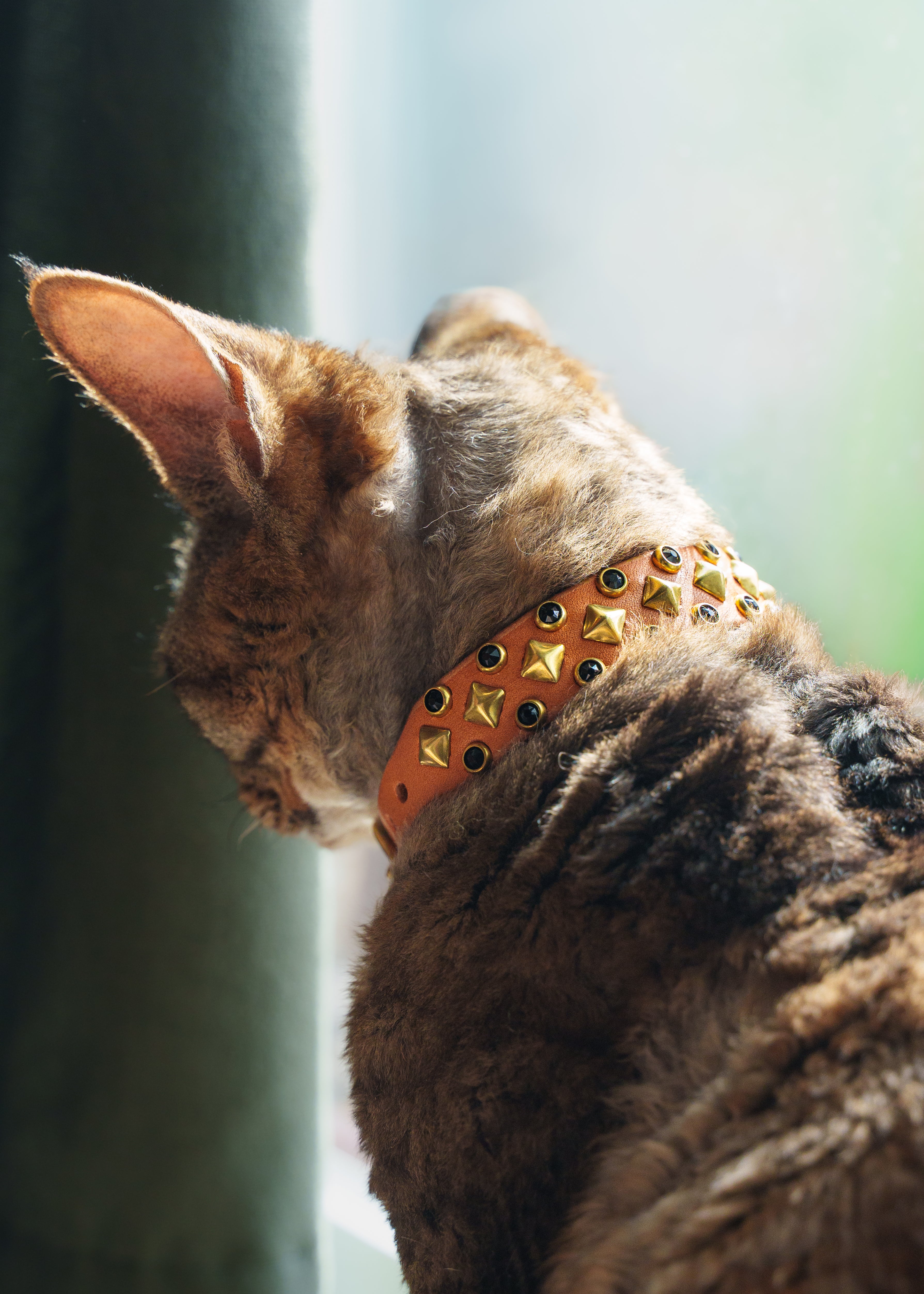 The 'Mini Hildi' Leather Collar (3/4