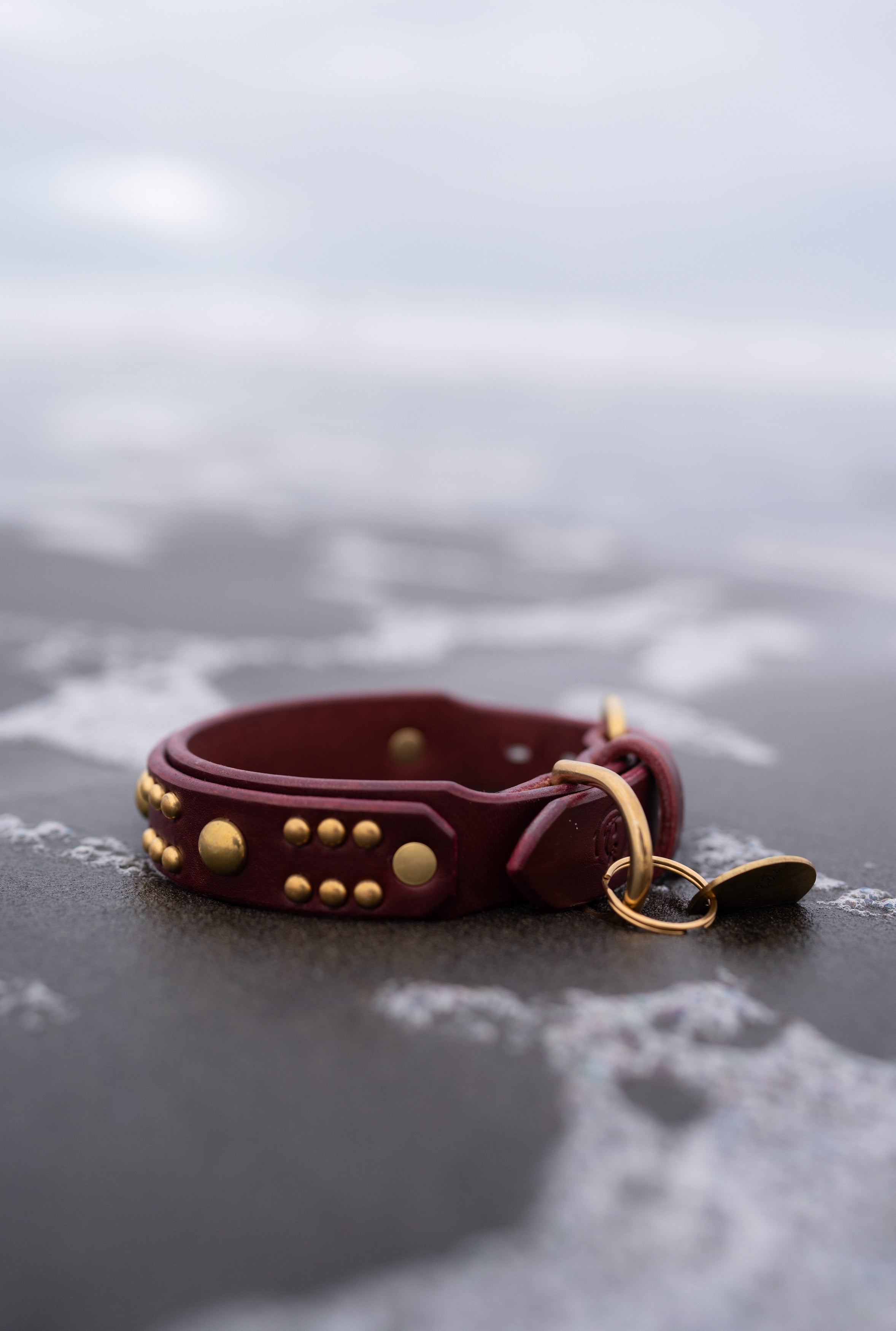 The 'Creature' Leather Collar (1