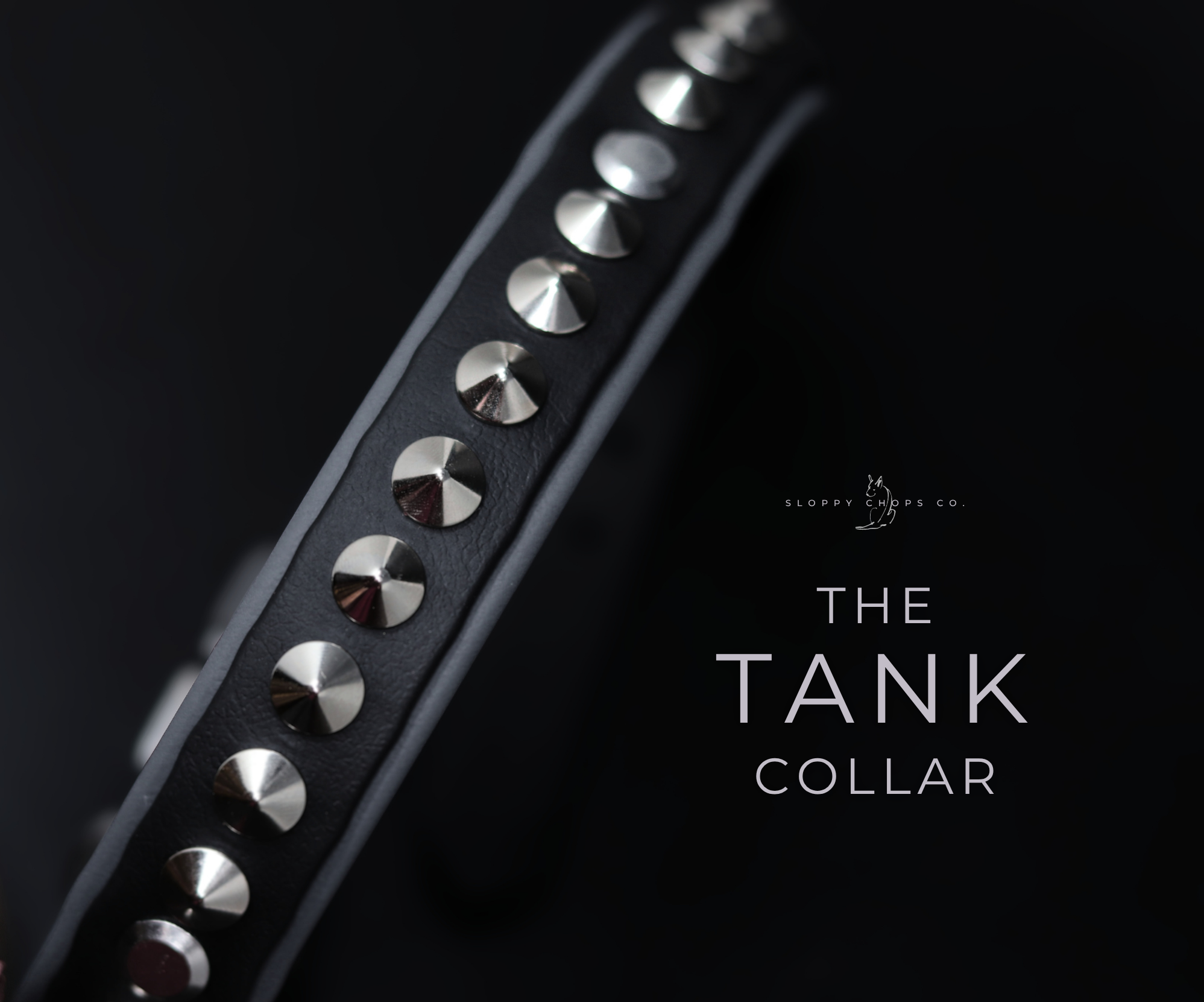 Black biothane collar featuring a row of polished silver cone spikes against a dark background with subtle branding text
