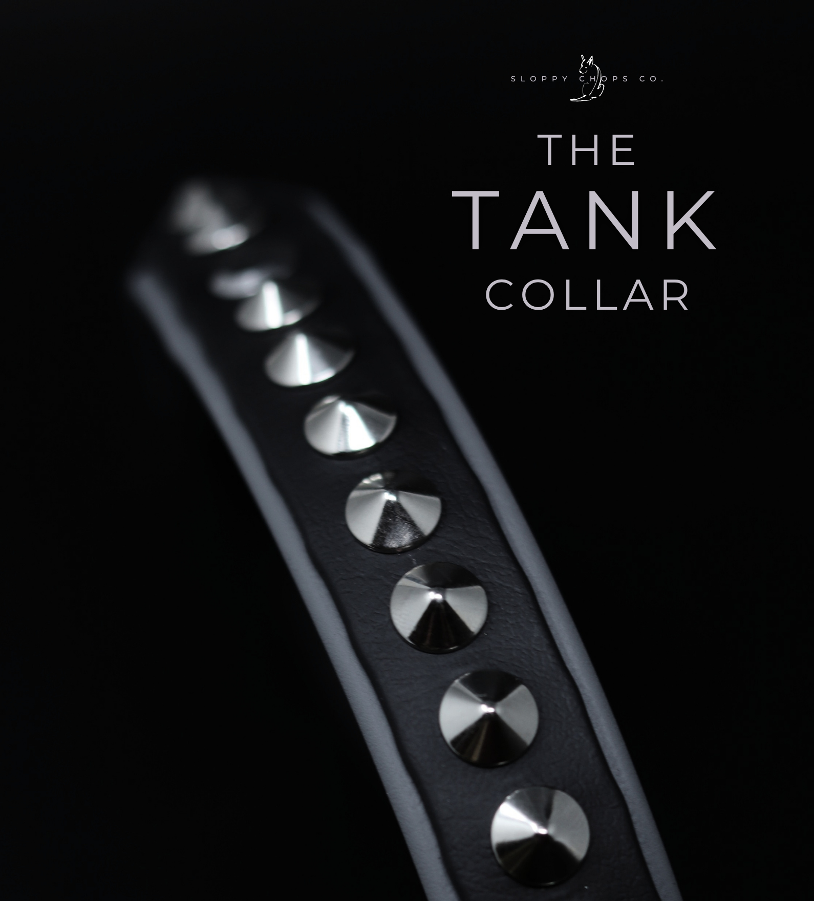 Close-up of a black Biothane collar featuring a row of shiny silver cone spikes against a dark background with subtle text overlay