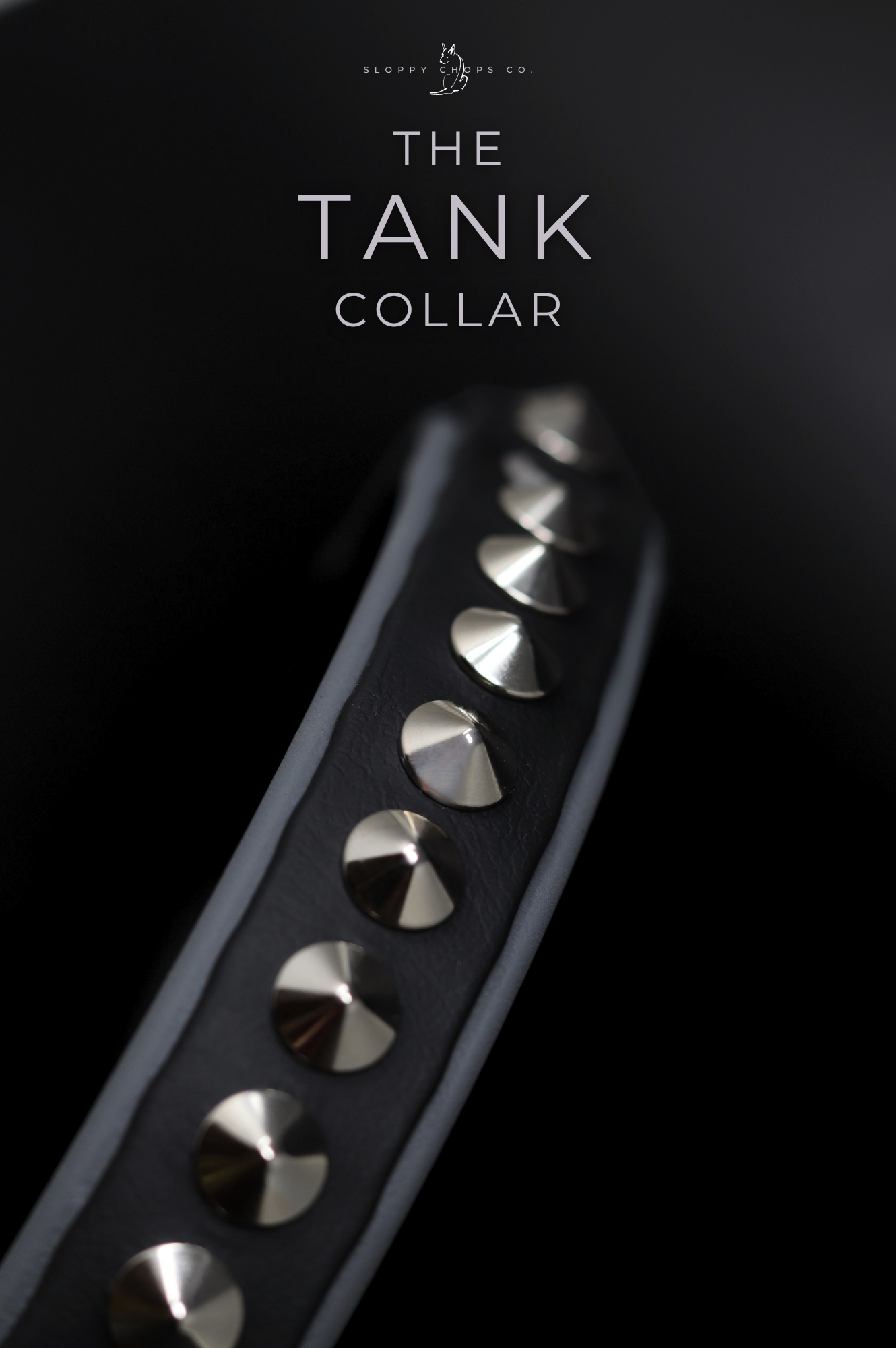 Black and grey biothane collar featuring a centered row of polished silver cone spikes against a dark blurred background with minimalist text overlay.