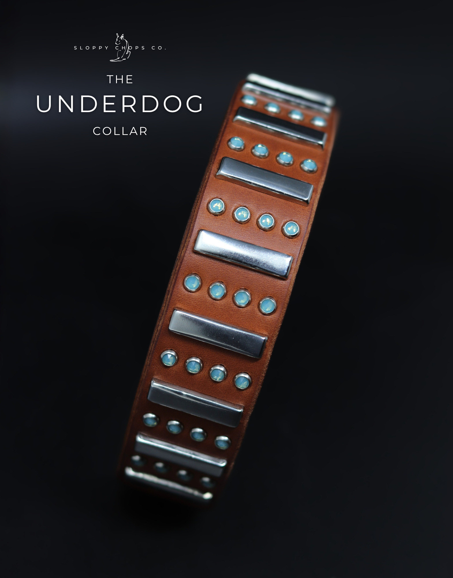 The 'Underdog' Leather Collar (1.5