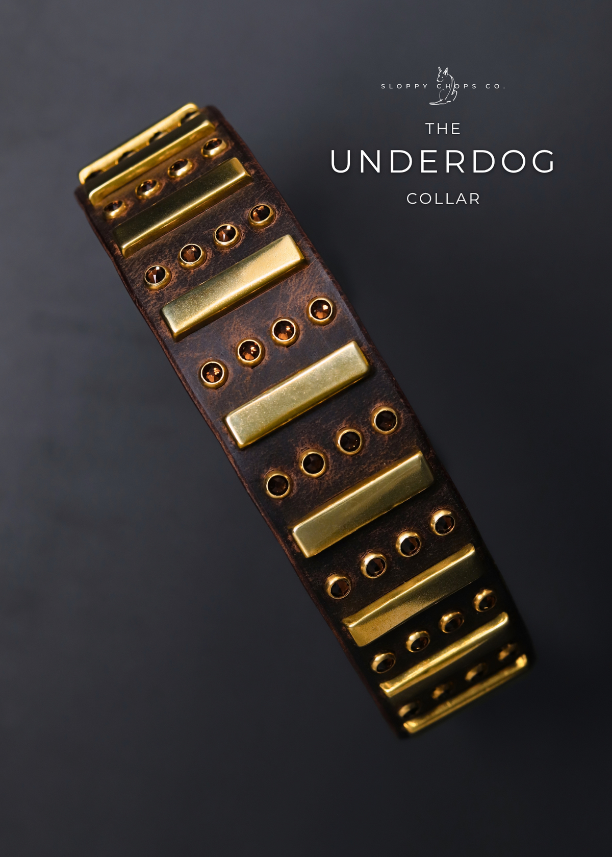 The 'Underdog' Leather Collar (1.5