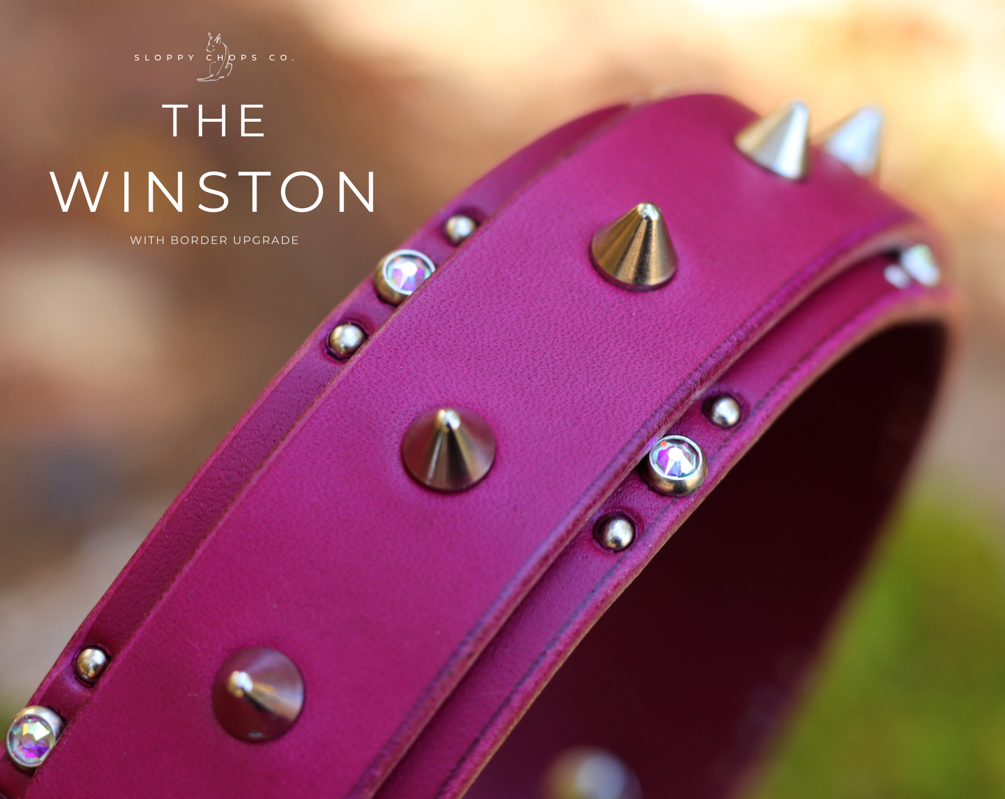 The 'Winston' Leather Collar (1