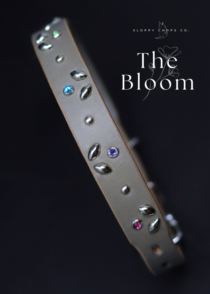 The 'Bloom' Leather Collar (1" panel)