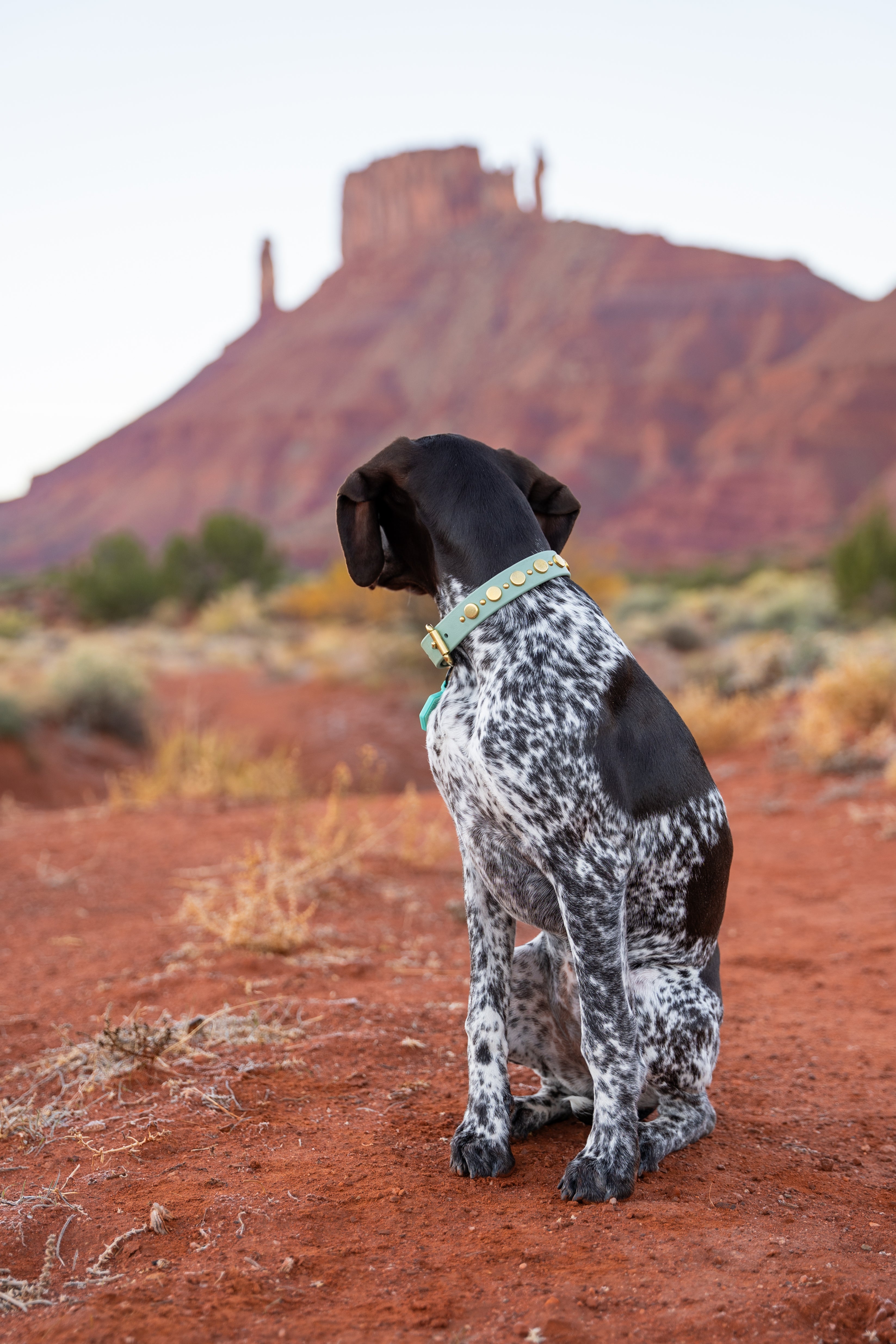 The 'Ophelia' Collar