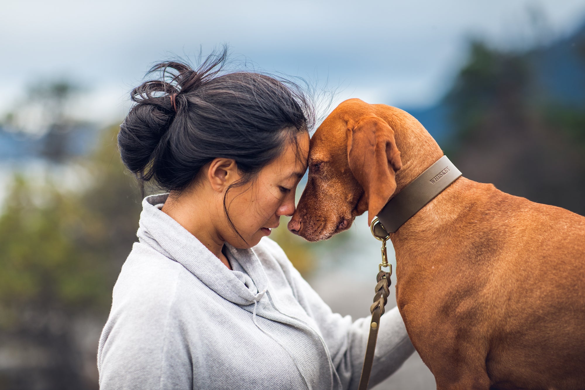 Man in dog outlet collar