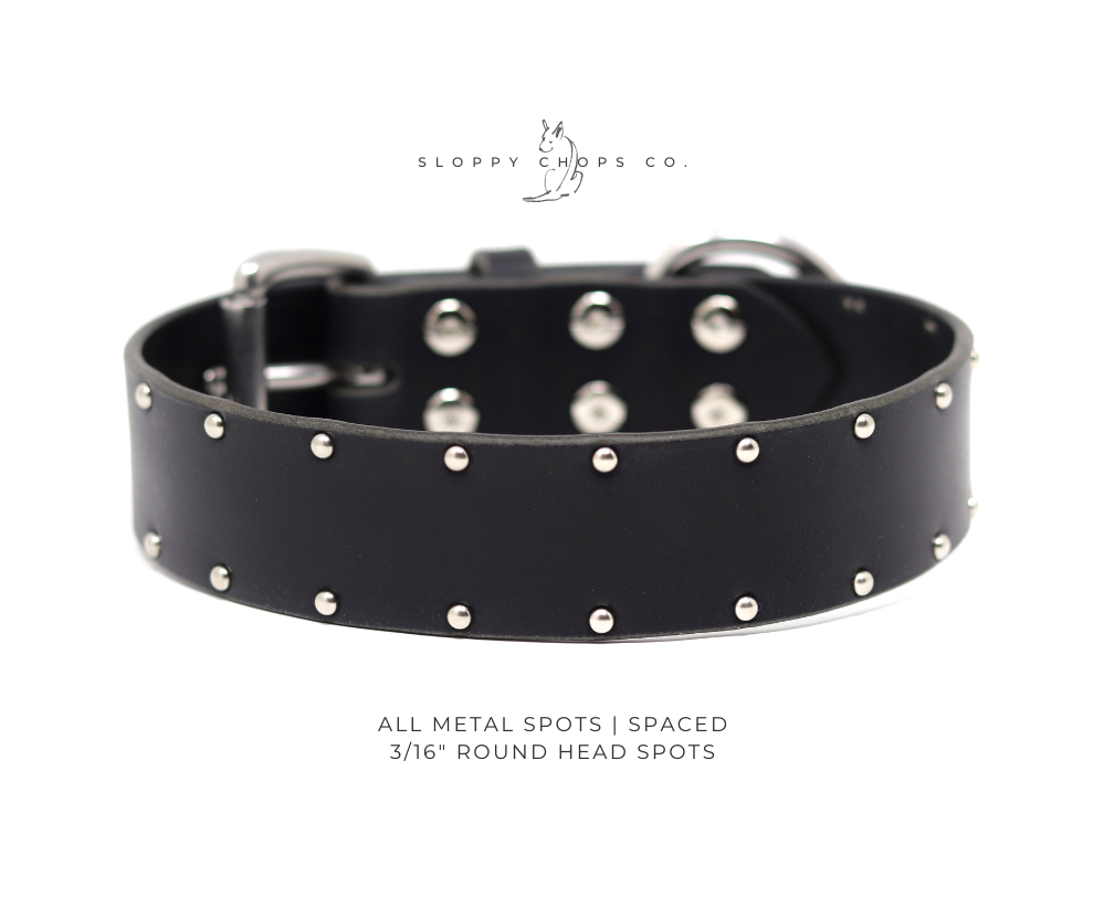 Classic Leather Collar with Border Option