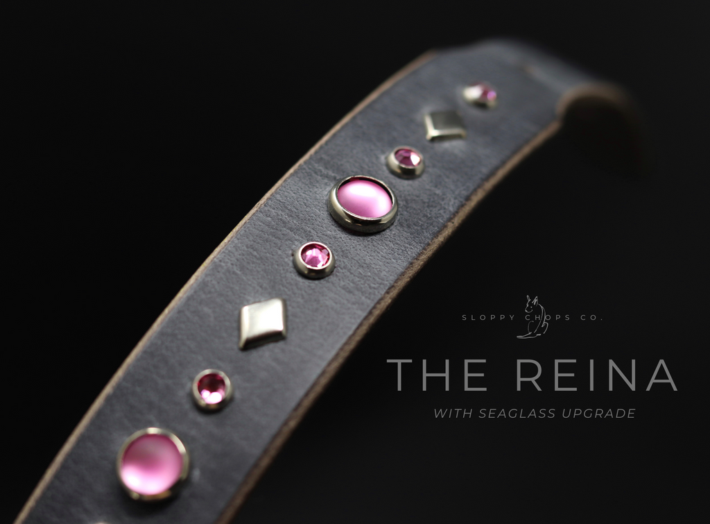 The 'Reina' Leather Collar (1" panel)